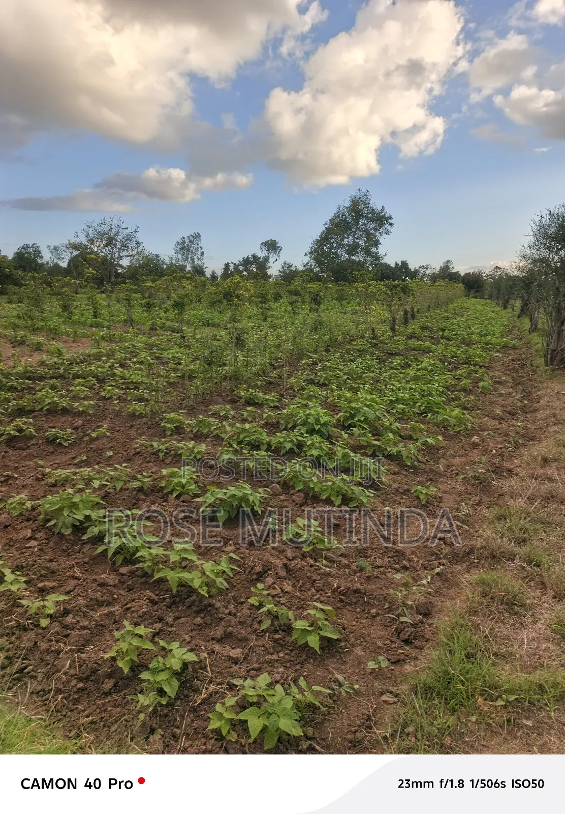 1and Half Acre at Tala in Tala