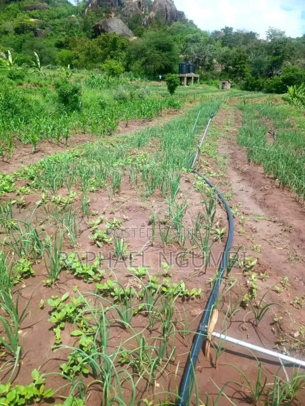3.5 Acres at Piped Irrigation Land At in Machakos Town
