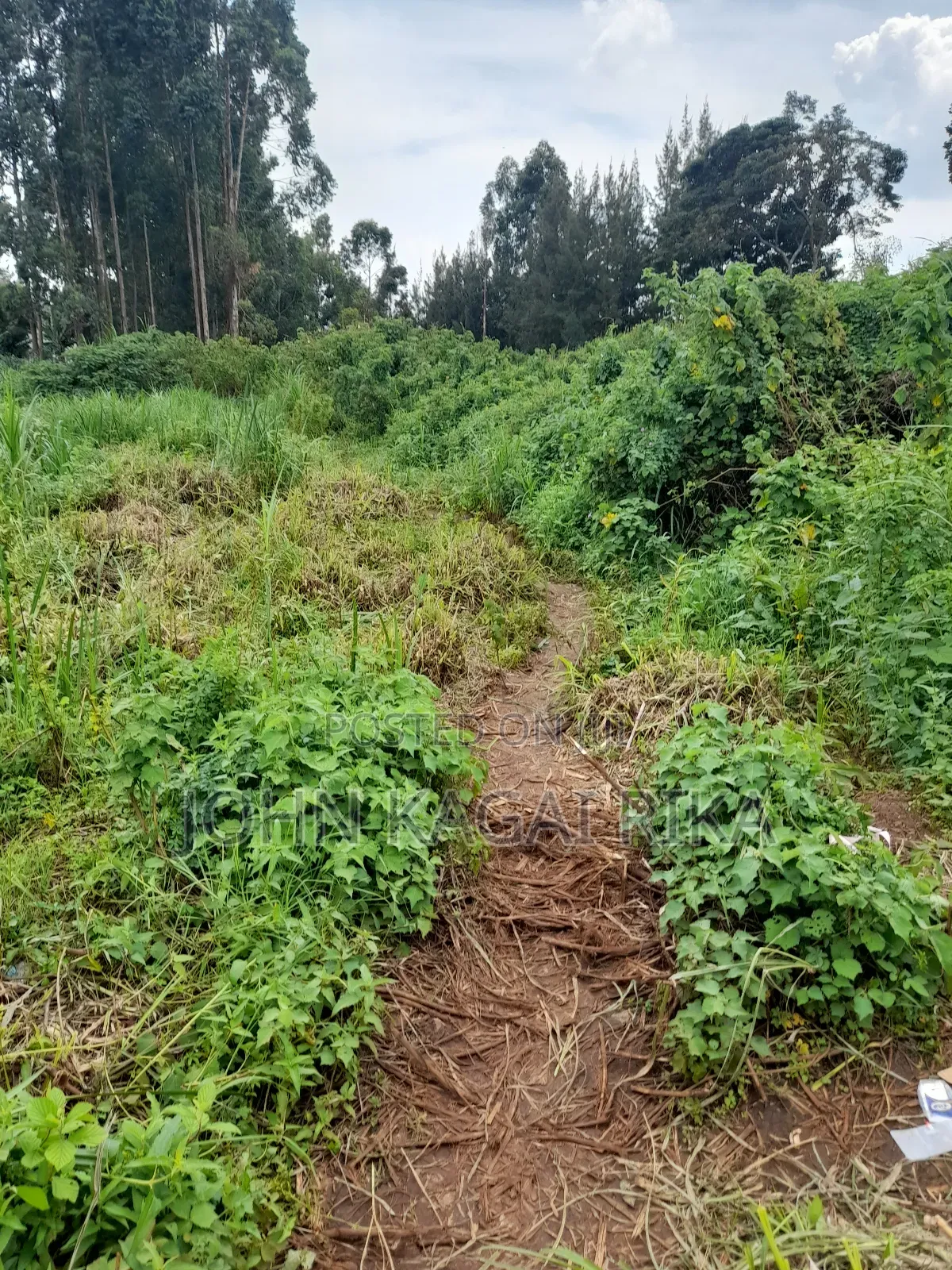 Thindigua Development Land for Sale in Thindigua/Kasarini