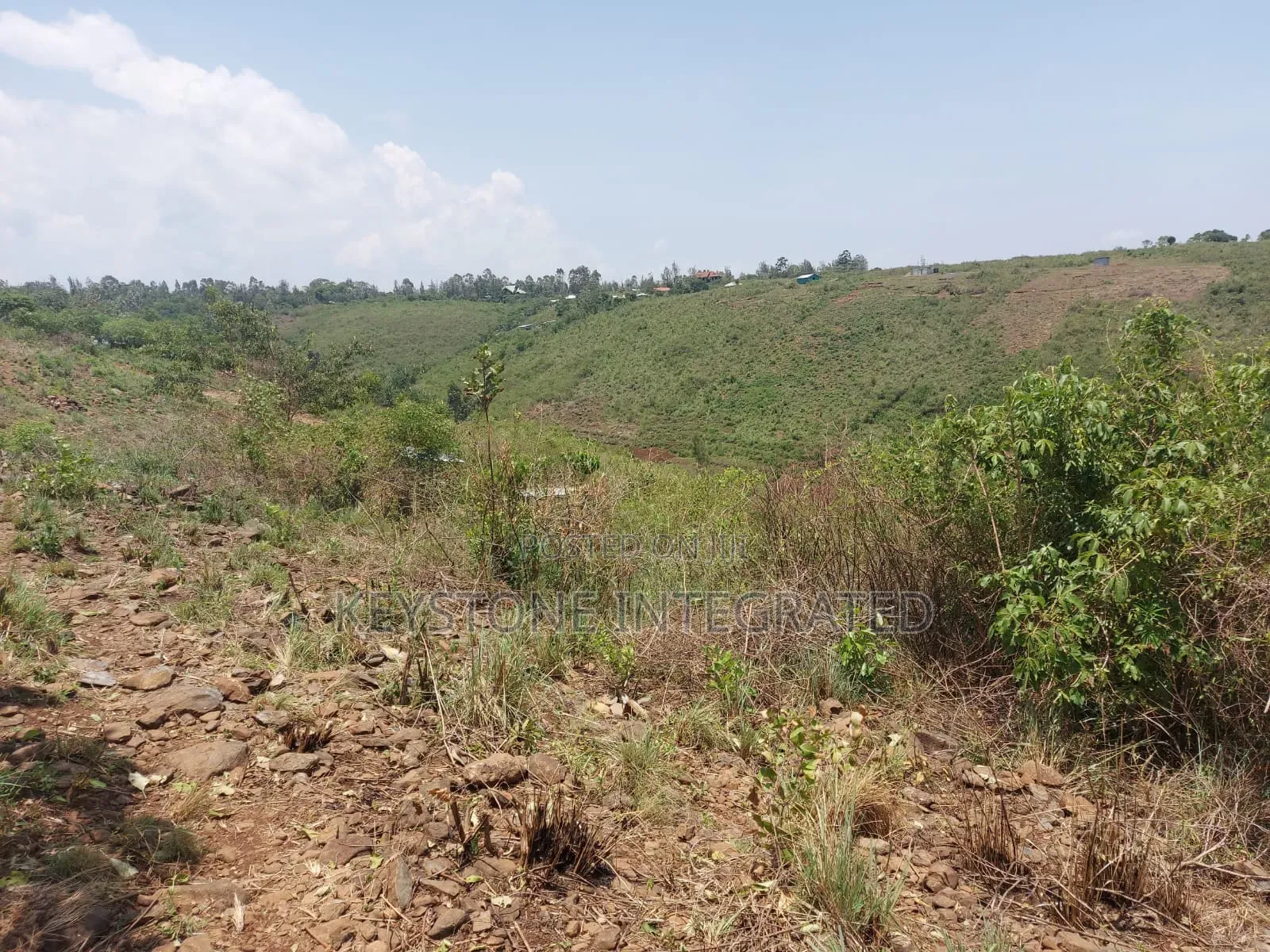 Plot for Sale in Riat in Kiboswa