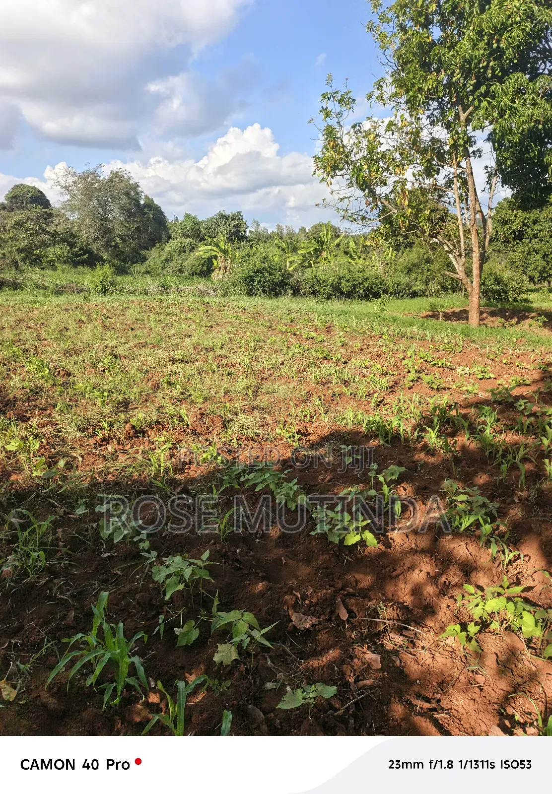9 Acres at Sengani in Tala
