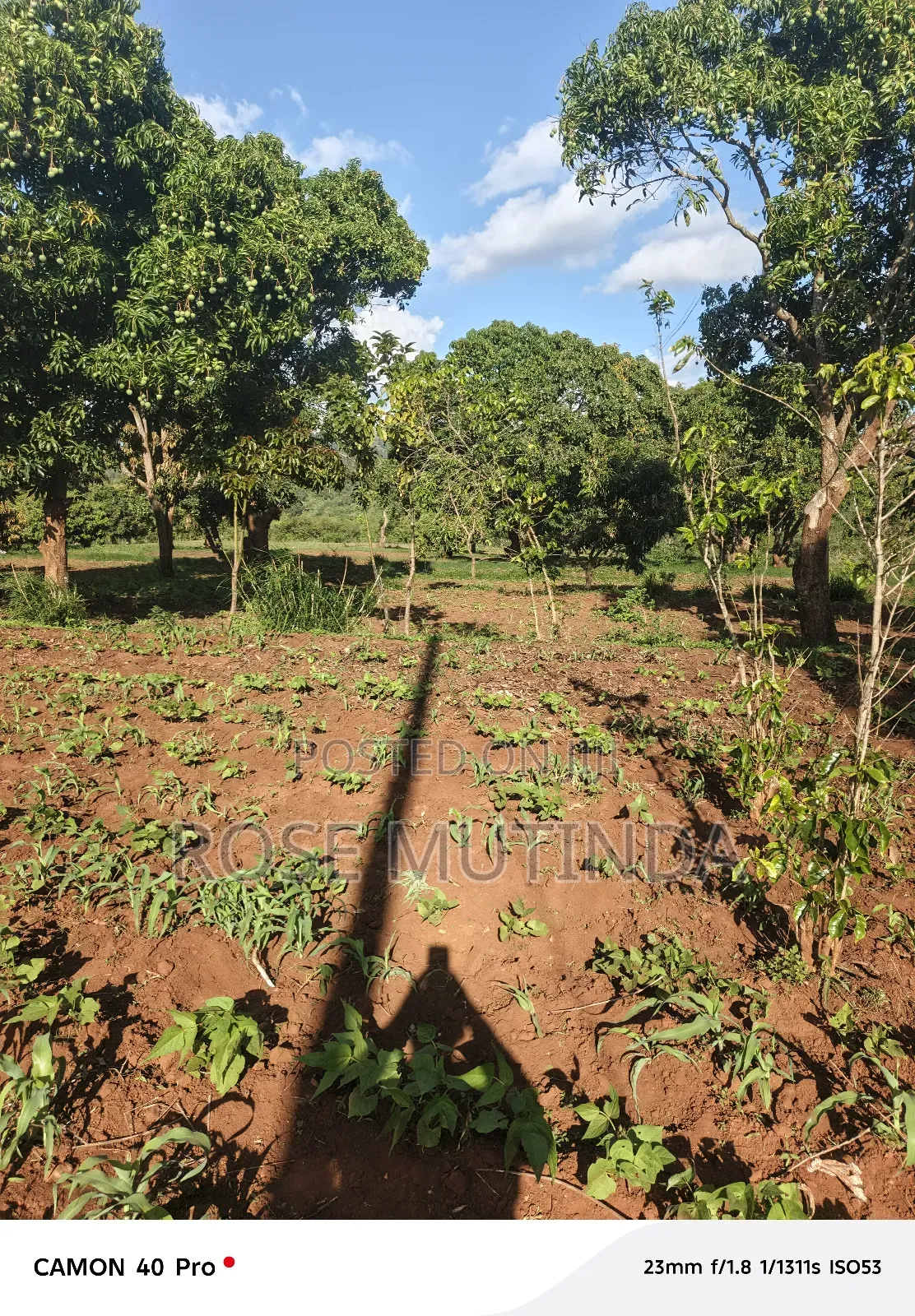 9 Acres at Sengani in Tala