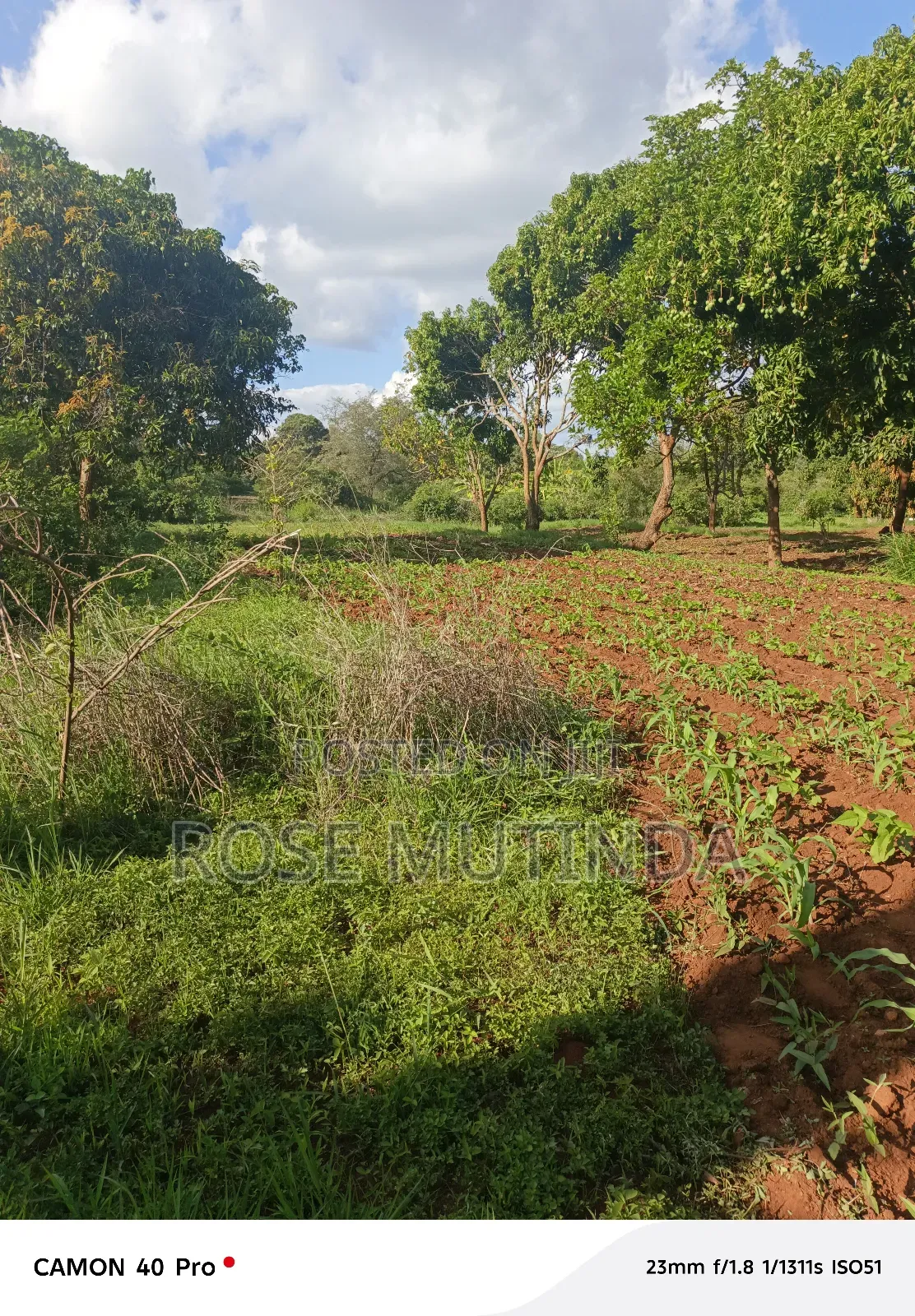 9 Acres at Sengani in Tala