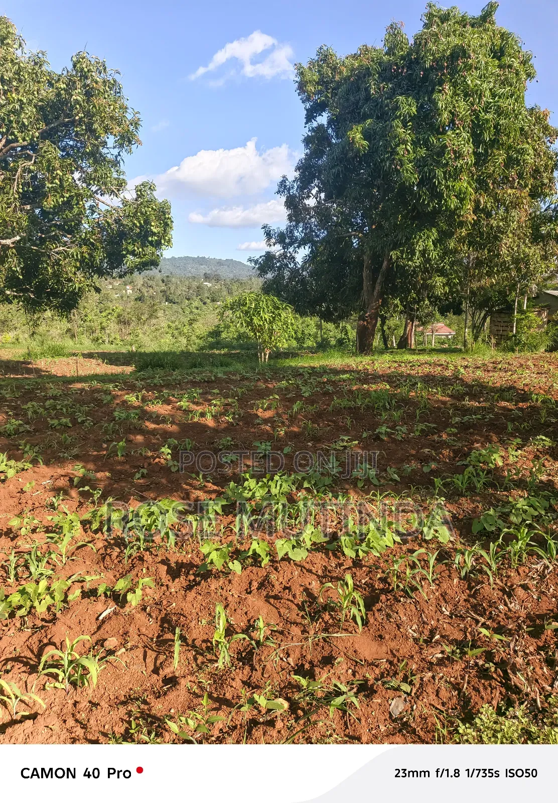 9 Acres at Sengani in Tala