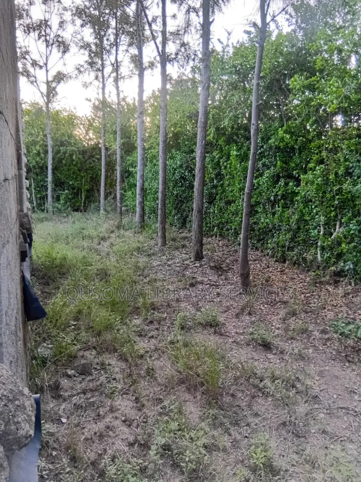 Developer's Dream: Unlock the Potential of Half an Acre in Chuna! in Kitengela