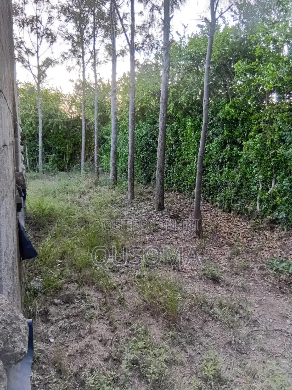 Developer's Dream: Unlock the Potential of Half an Acre in Chuna! in Kitengela