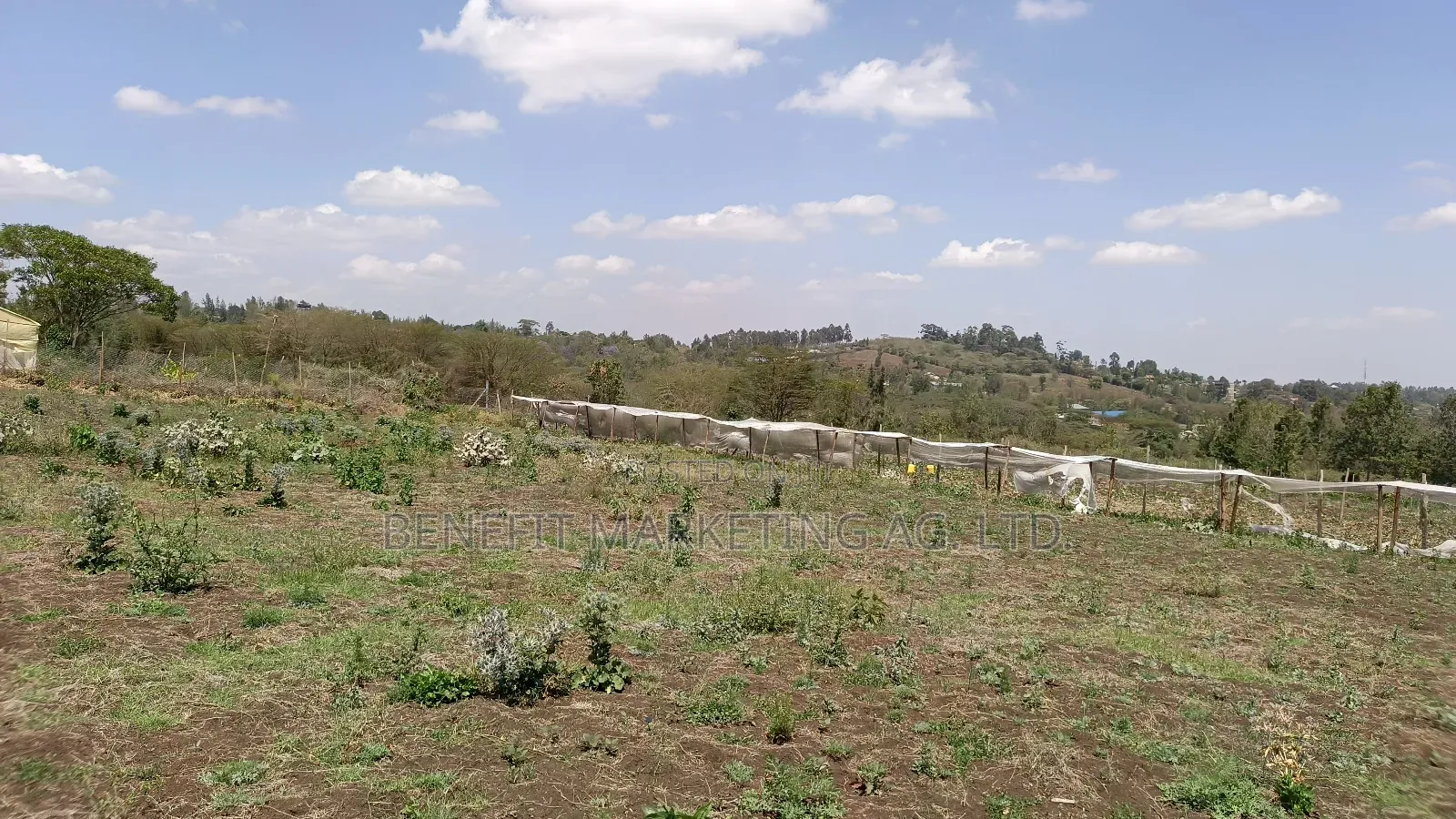 Half Acre Plot for Sale in Kiserian, St. Patrick's Road in Kiserian