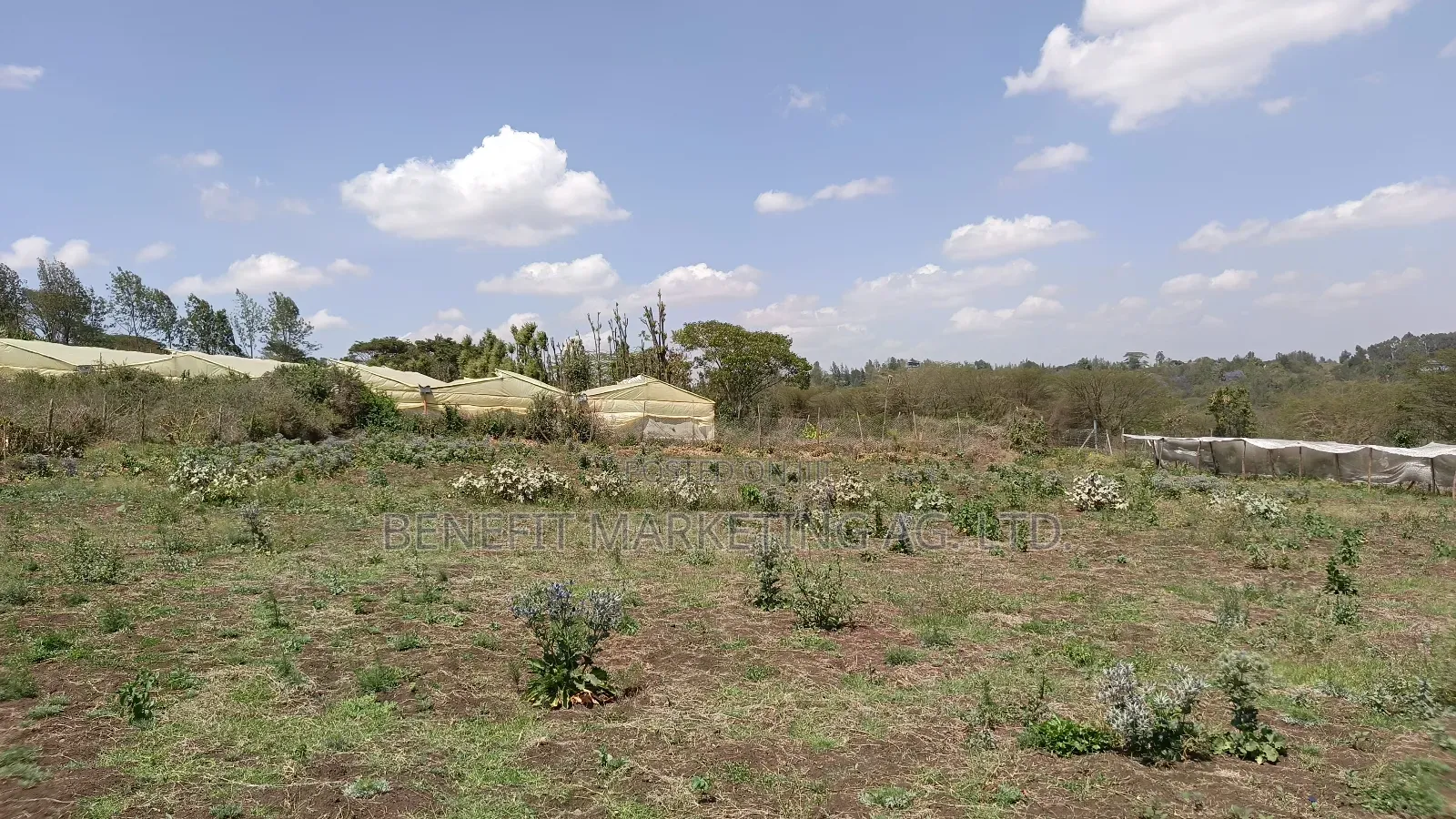 Half Acre Plot for Sale in Kiserian, St. Patrick's Road in Kiserian