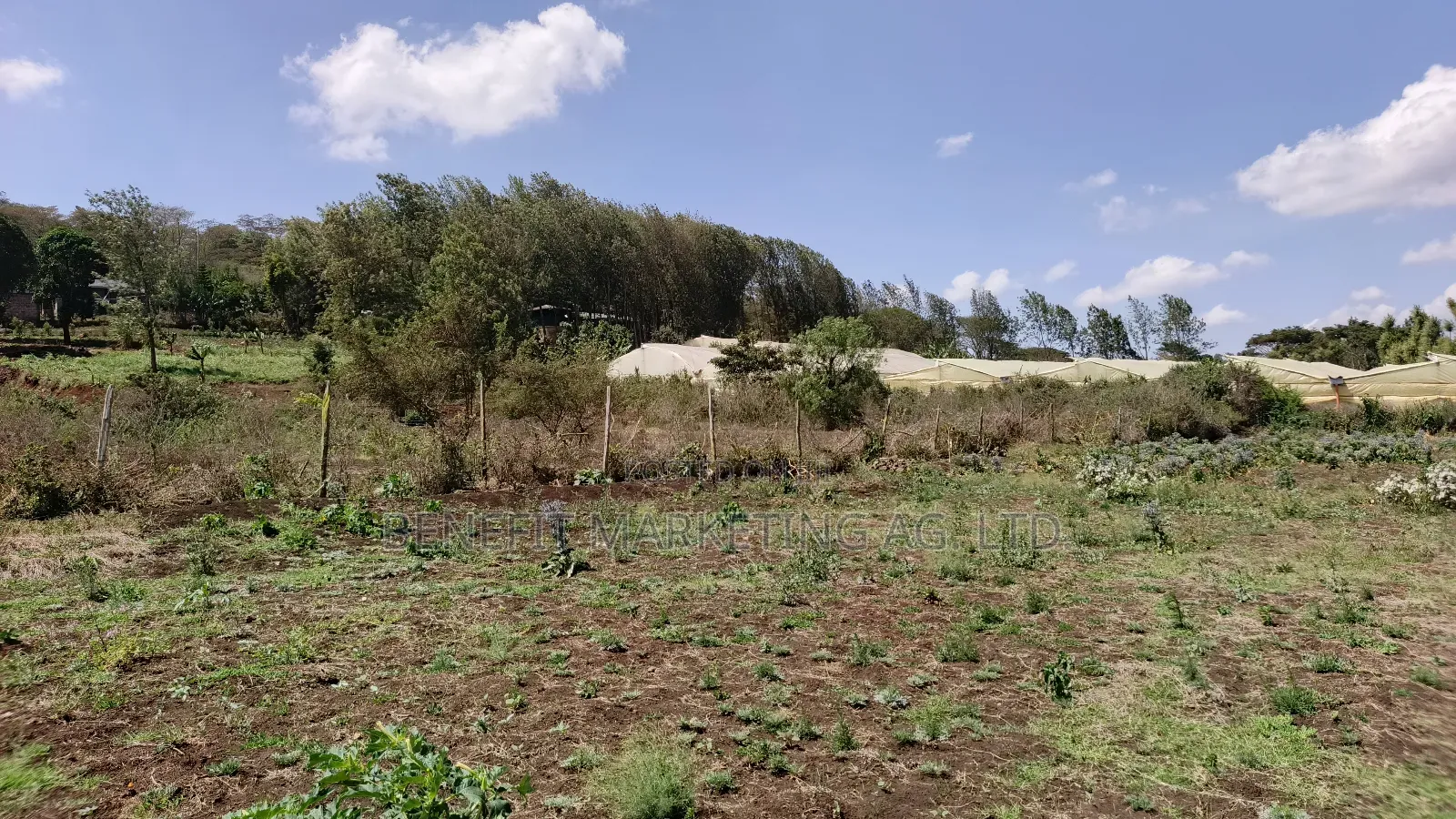 Half Acre Plot for Sale in Kiserian, St. Patrick's Road in Kiserian