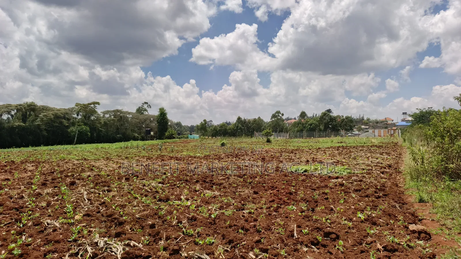 Half Acre Plot for Sale in Kerarapon Drive, Ngong in Kerarapon