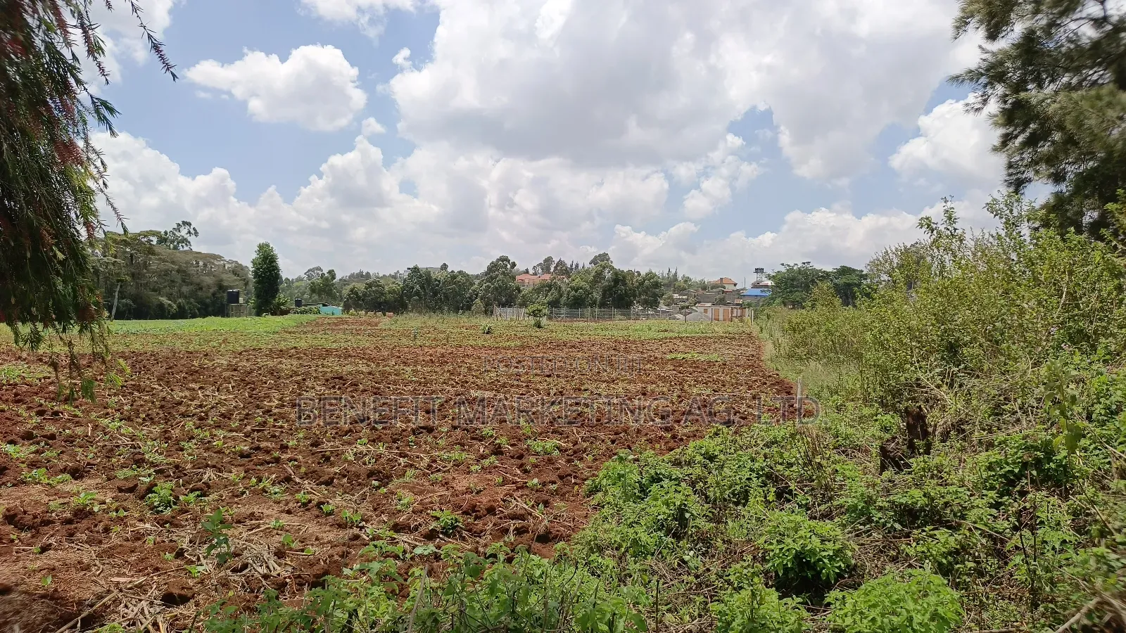 Half Acre Plot for Sale in Kerarapon Drive, Ngong in Kerarapon