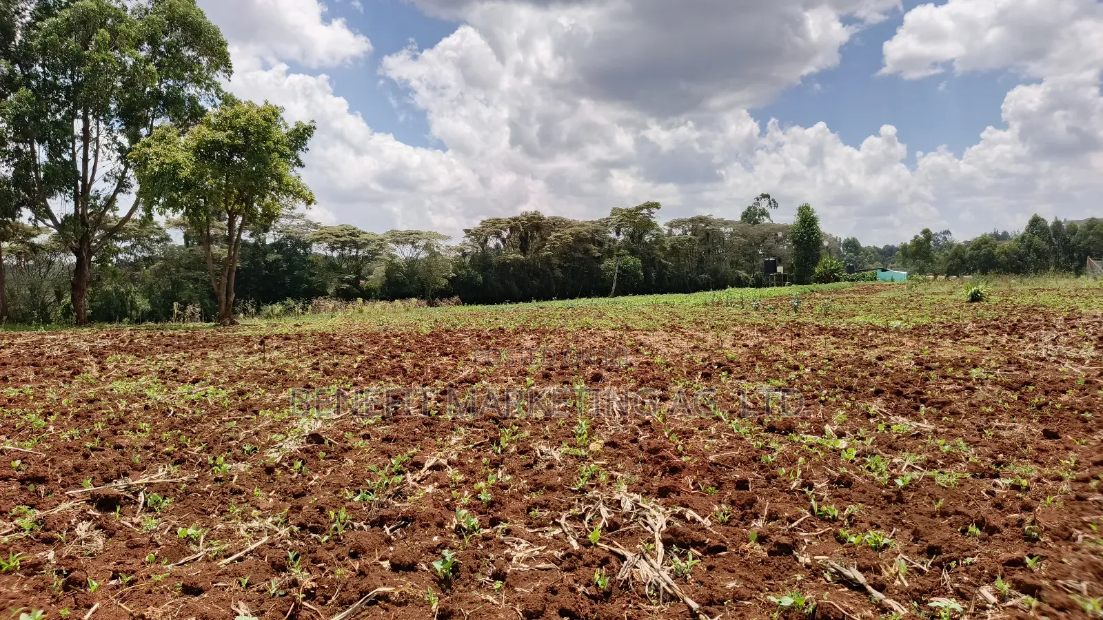 Half Acre Plot for Sale in Kerarapon Drive, Ngong in Kerarapon