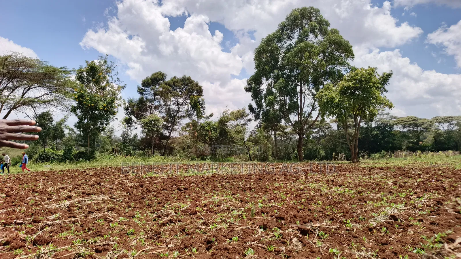 Half Acre Plot for Sale in Kerarapon Drive, Ngong in Kerarapon