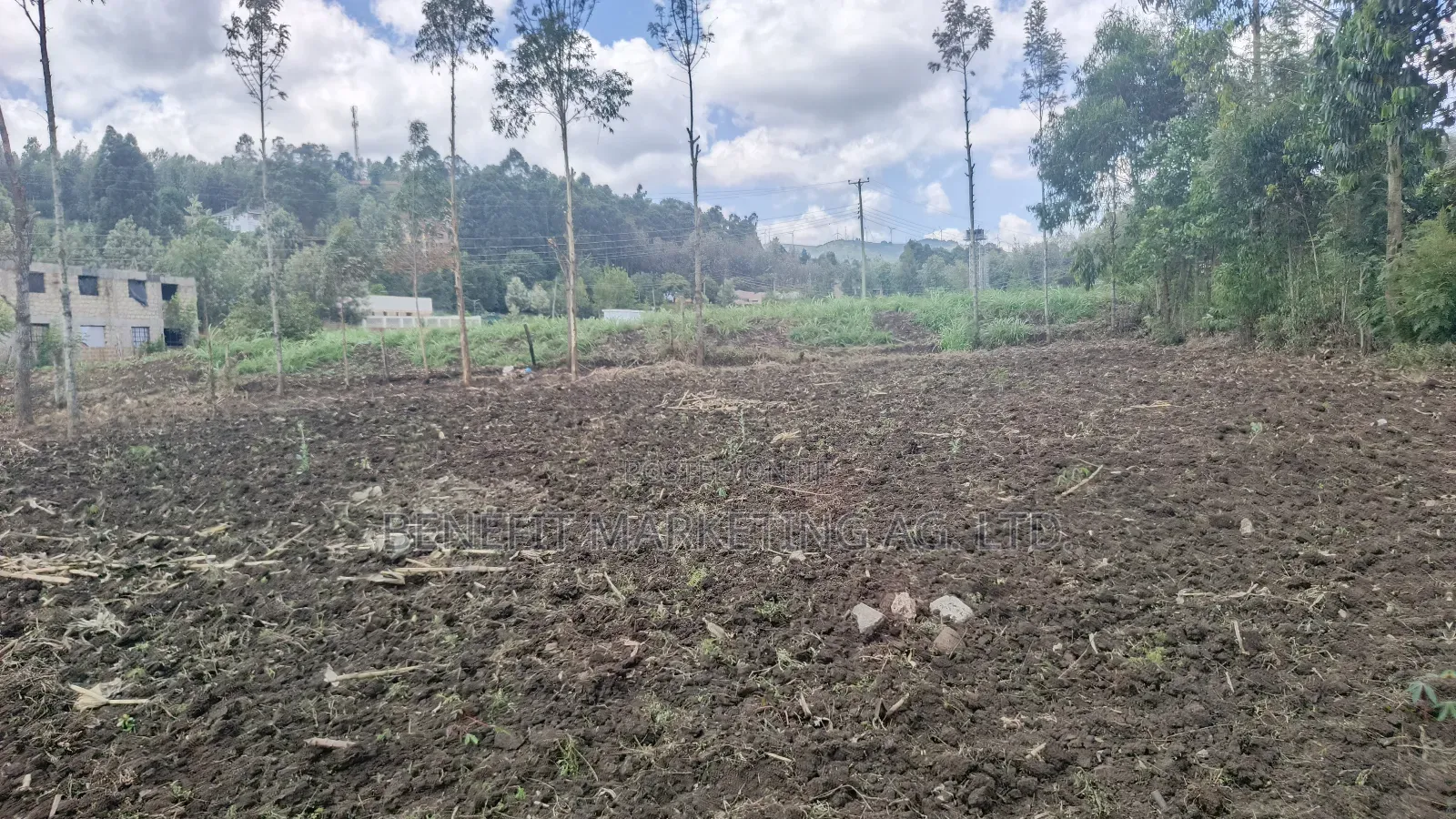 Quarter Acre Plot for Sale in Ngong Near Oryx Station in Ngong