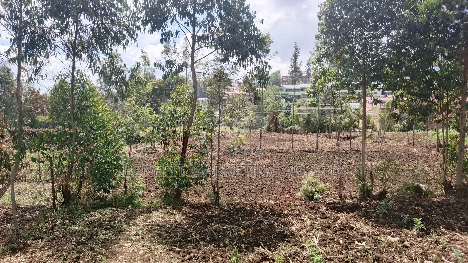 Quarter Acre Plot for Sale in Ngong Near Oryx Station in Ngong