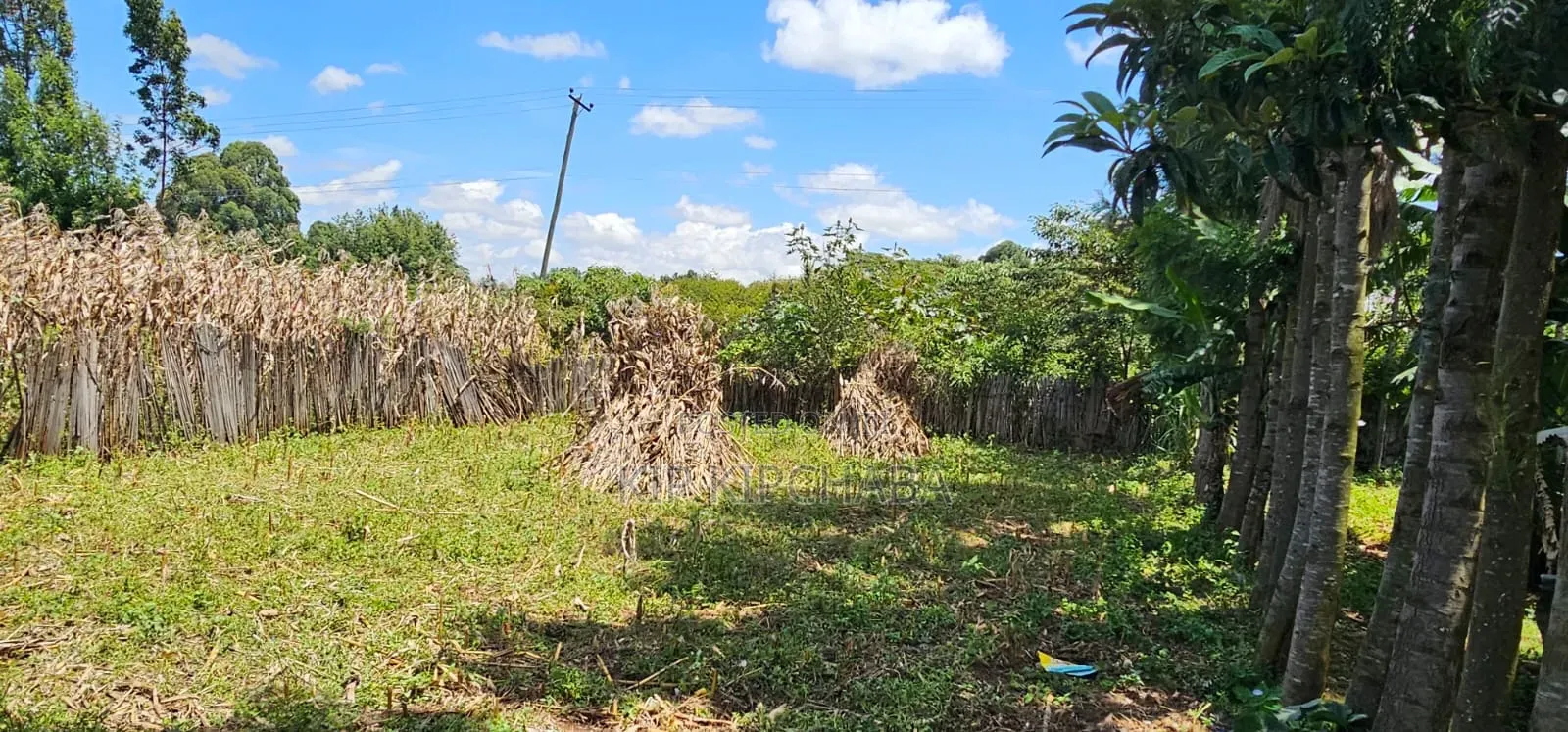 2bdrm House in Kuinet, Kimumu for sale in Kimumu