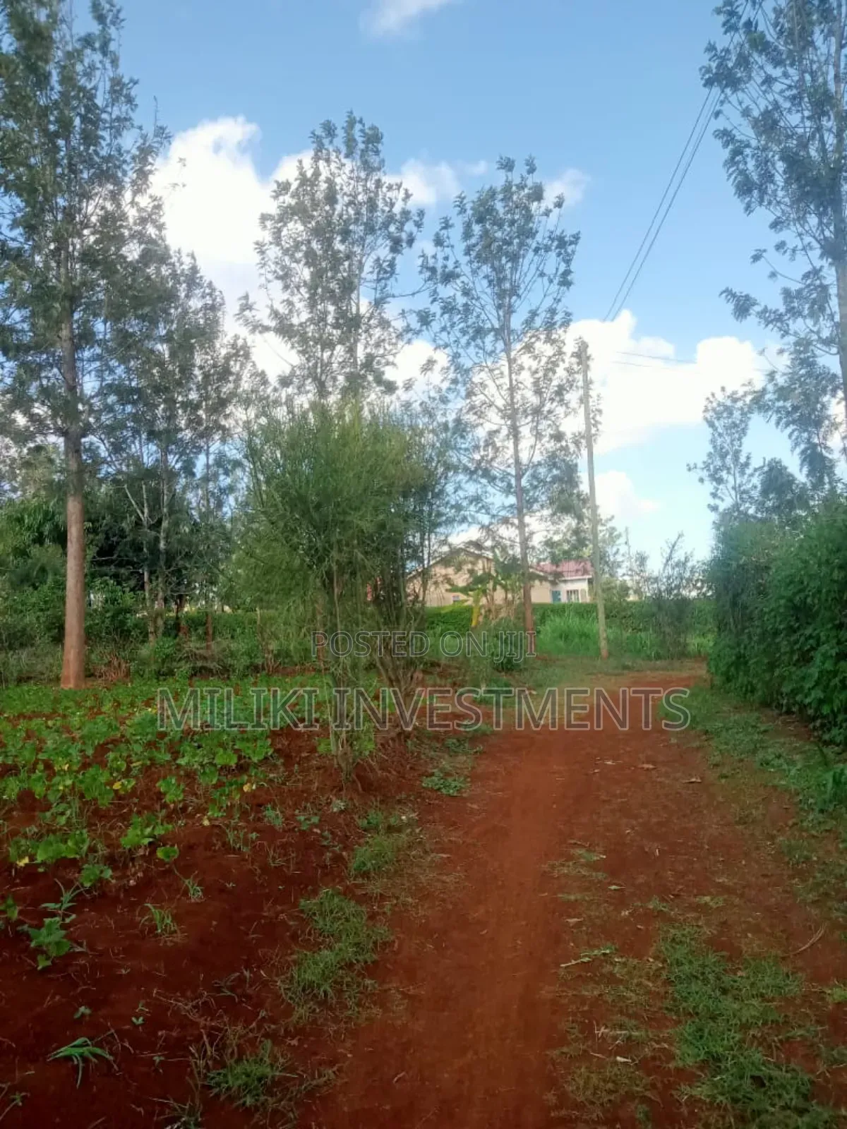 4p by 80 Plots on Sale Kabati-Kenol in Kimorori/Wempa