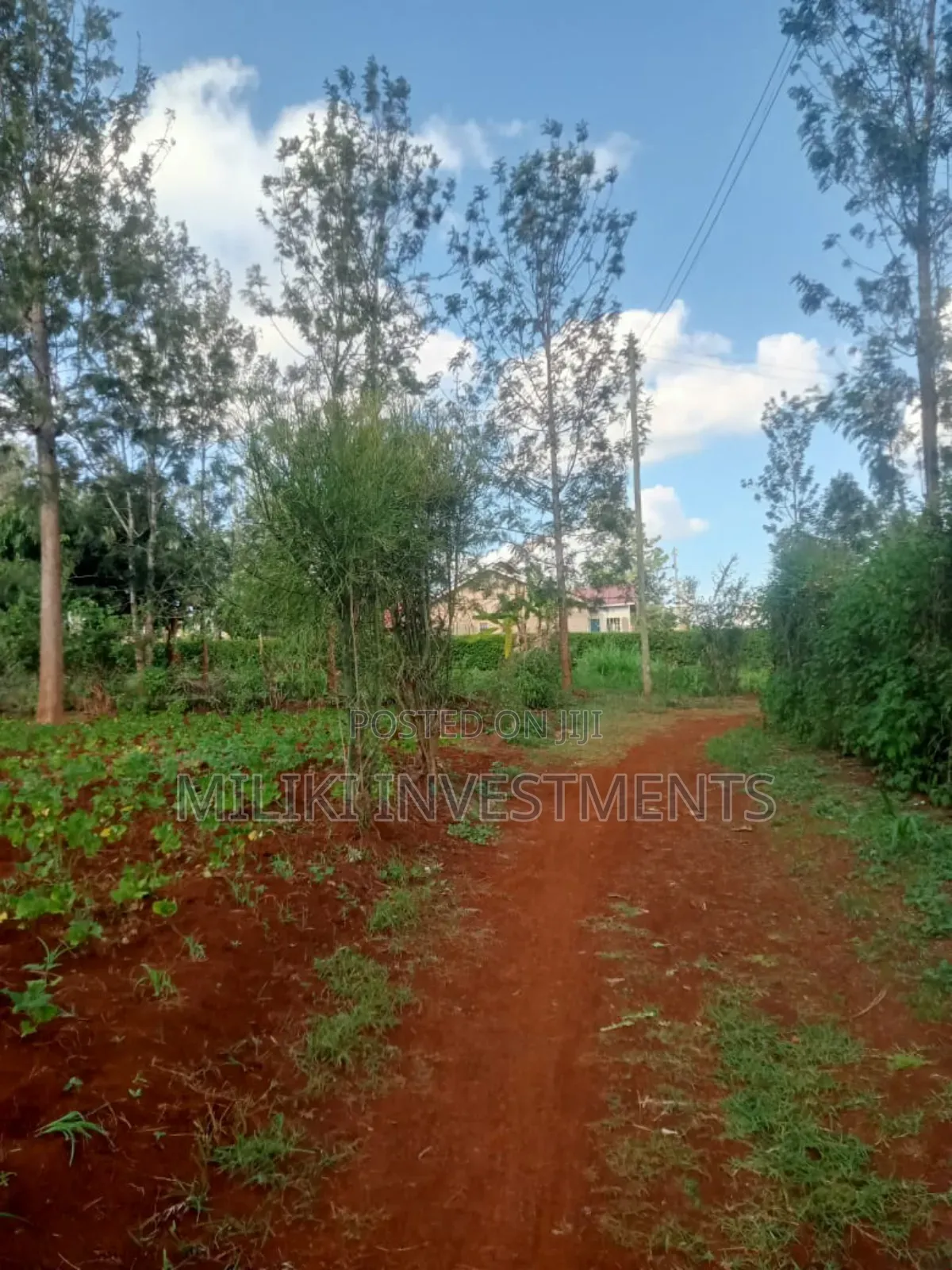 4p by 80 Plots on Sale Kabati-Kenol in Kimorori/Wempa