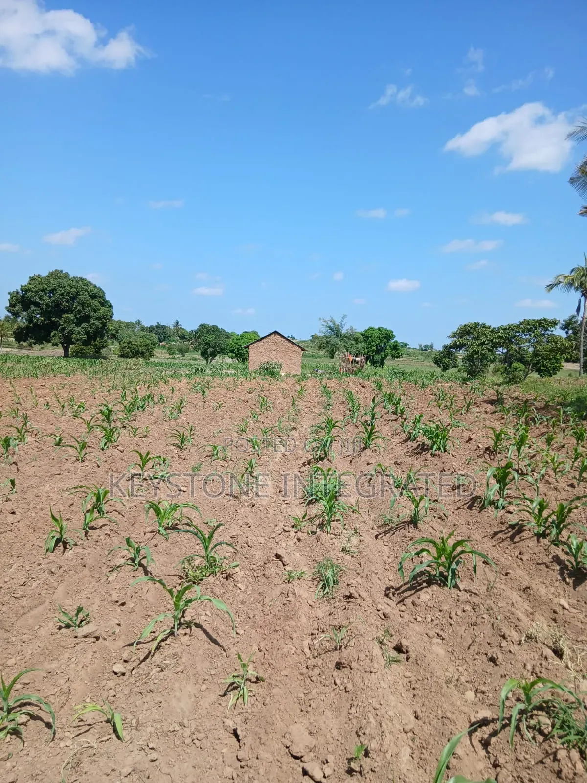 Gandini,Kwale Land for Sale in Dzombo