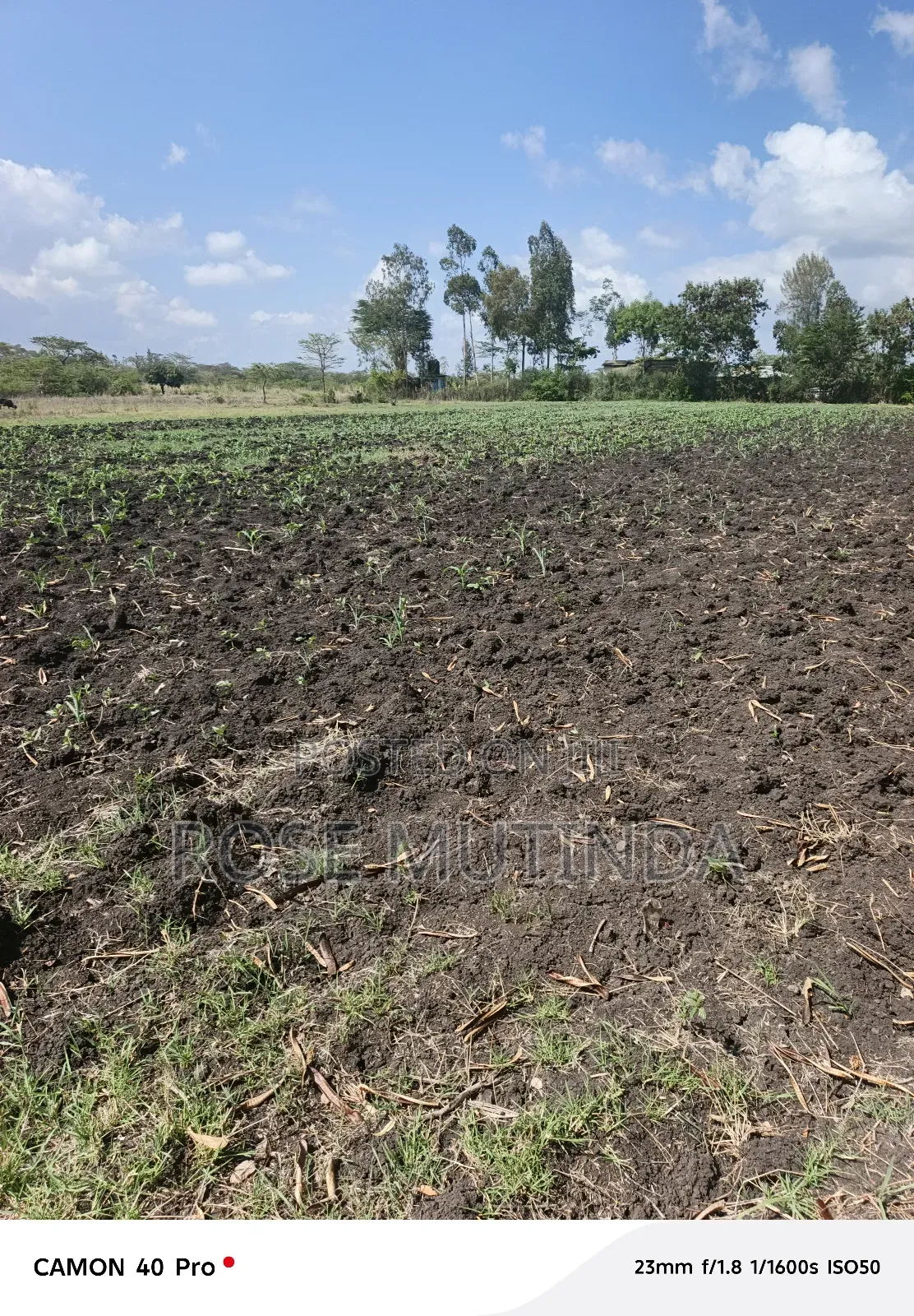 5acres at Kyeleni in Kyeleni