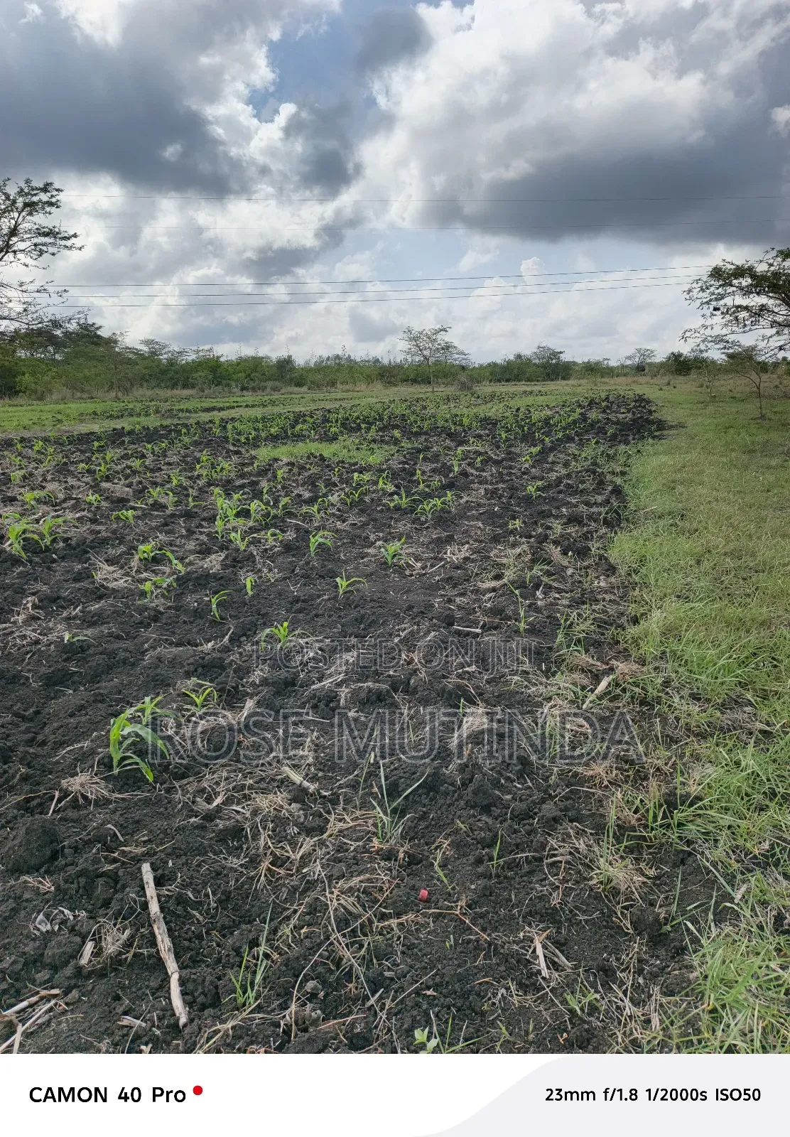 5acres at Kyeleni in Kyeleni