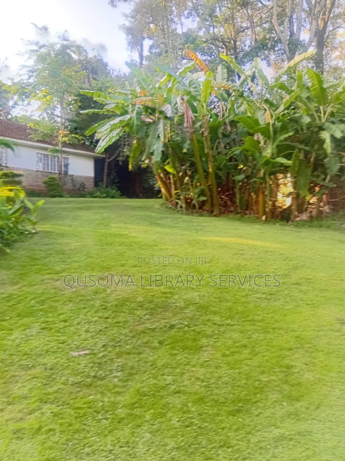 Njumbi 1.25-Acre Redevelopment Goldmine – 8 Km From Cbd! in Lavington