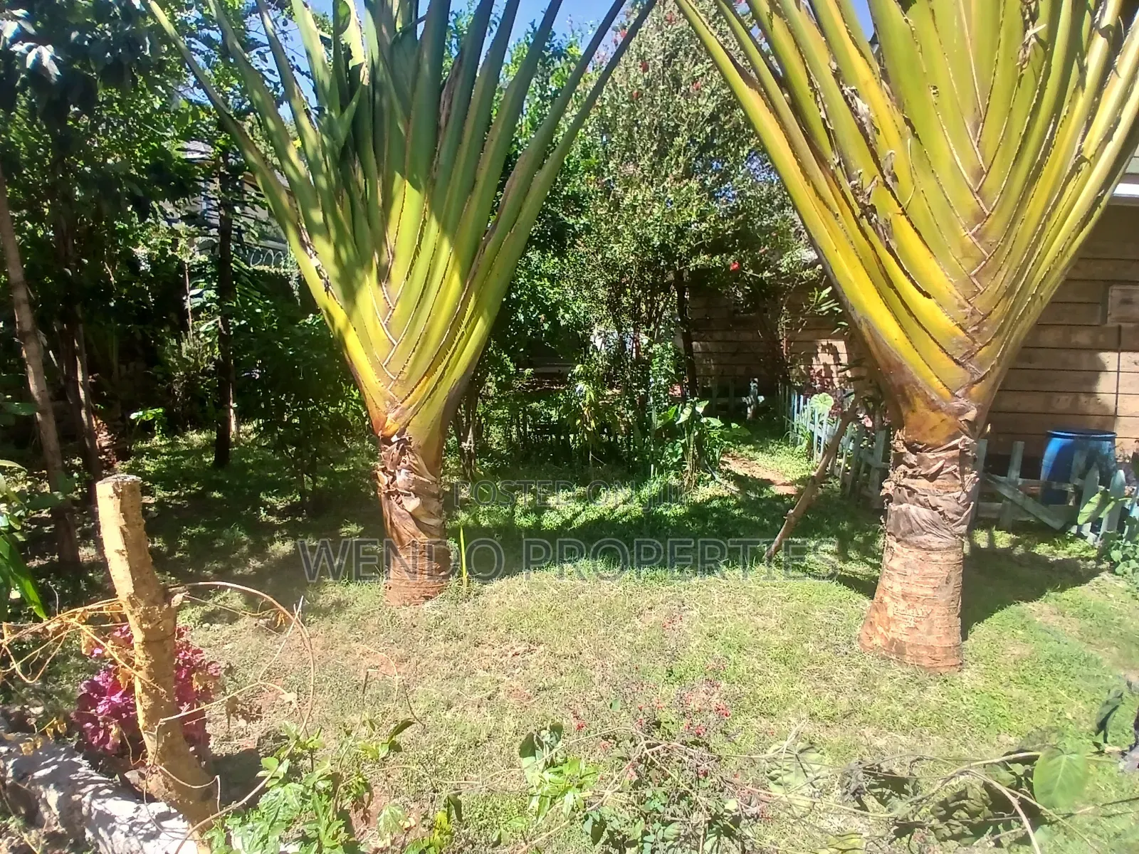 4bdrm House in Karen for rent in Karen