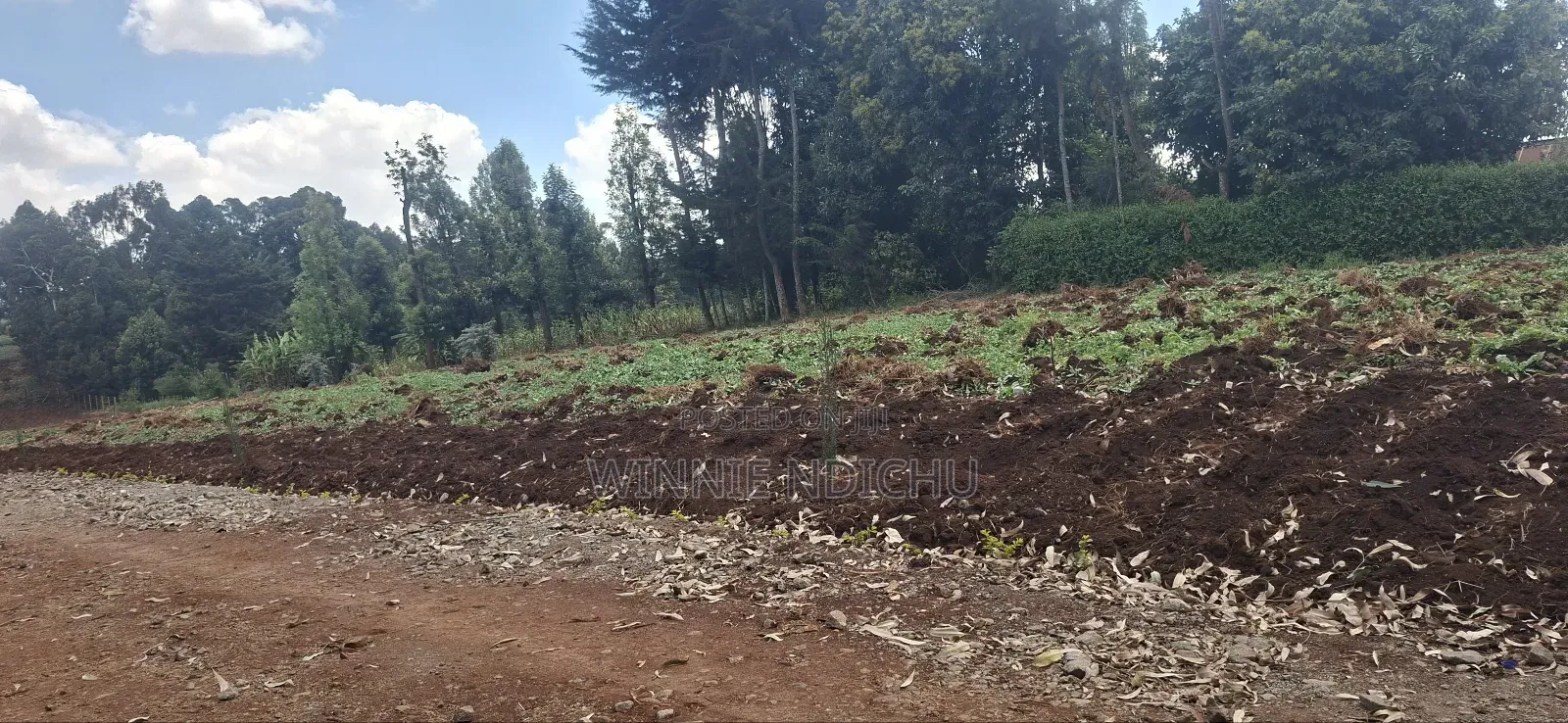 Prime Residential Plots in Limuru in Limuru