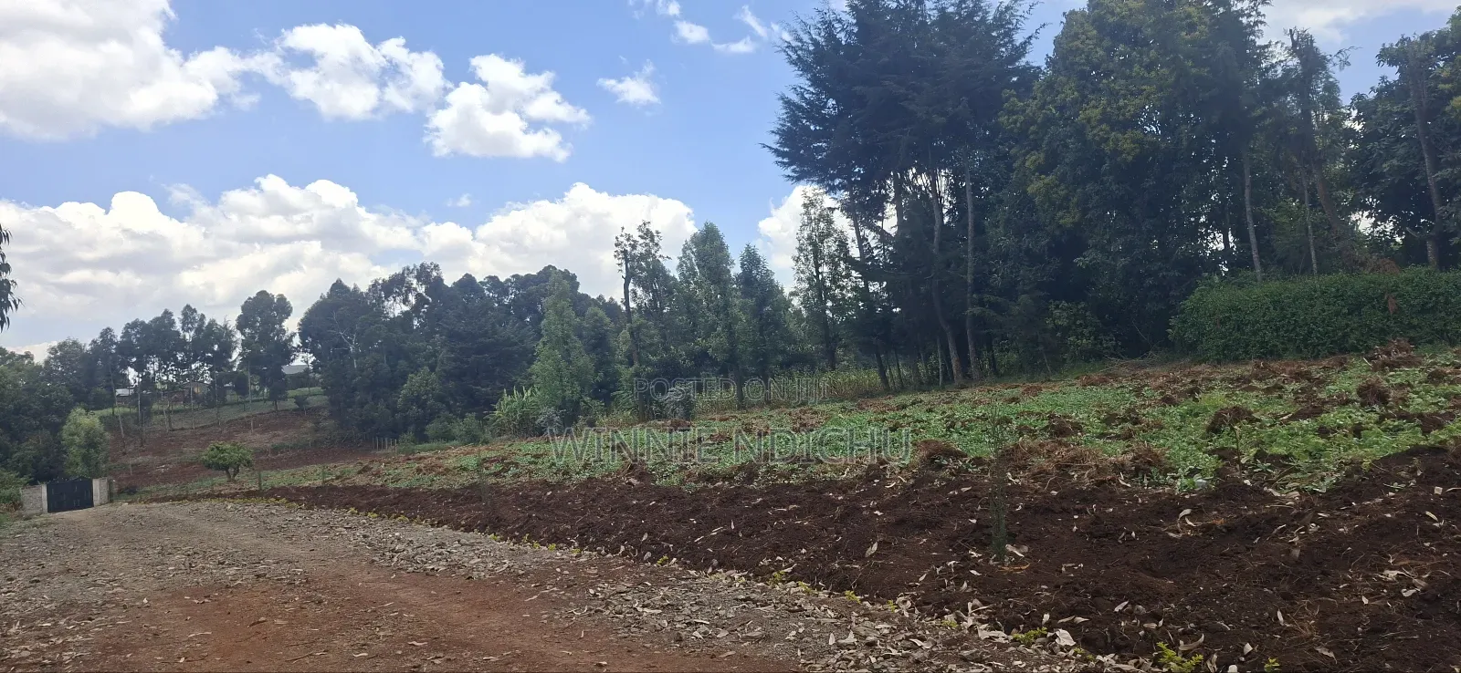 Prime Residential Plots in Limuru in Limuru