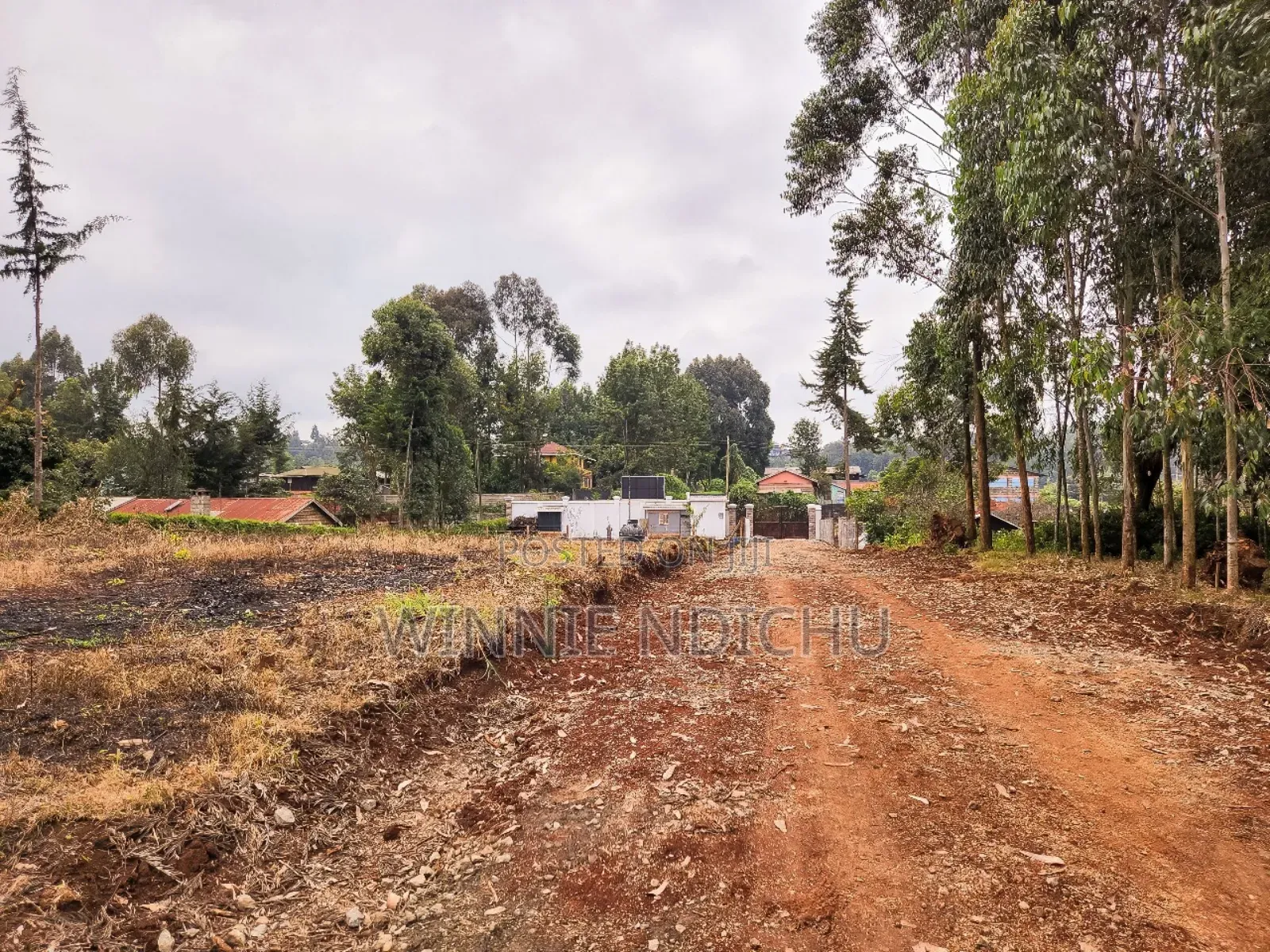 Prime Residential Plots in Limuru in Limuru