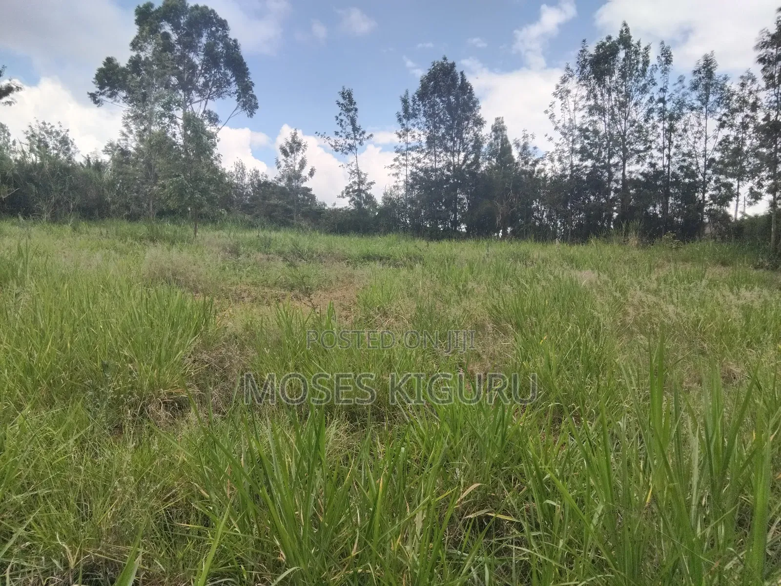 Mugutha 1/4 Plots in Ruiru