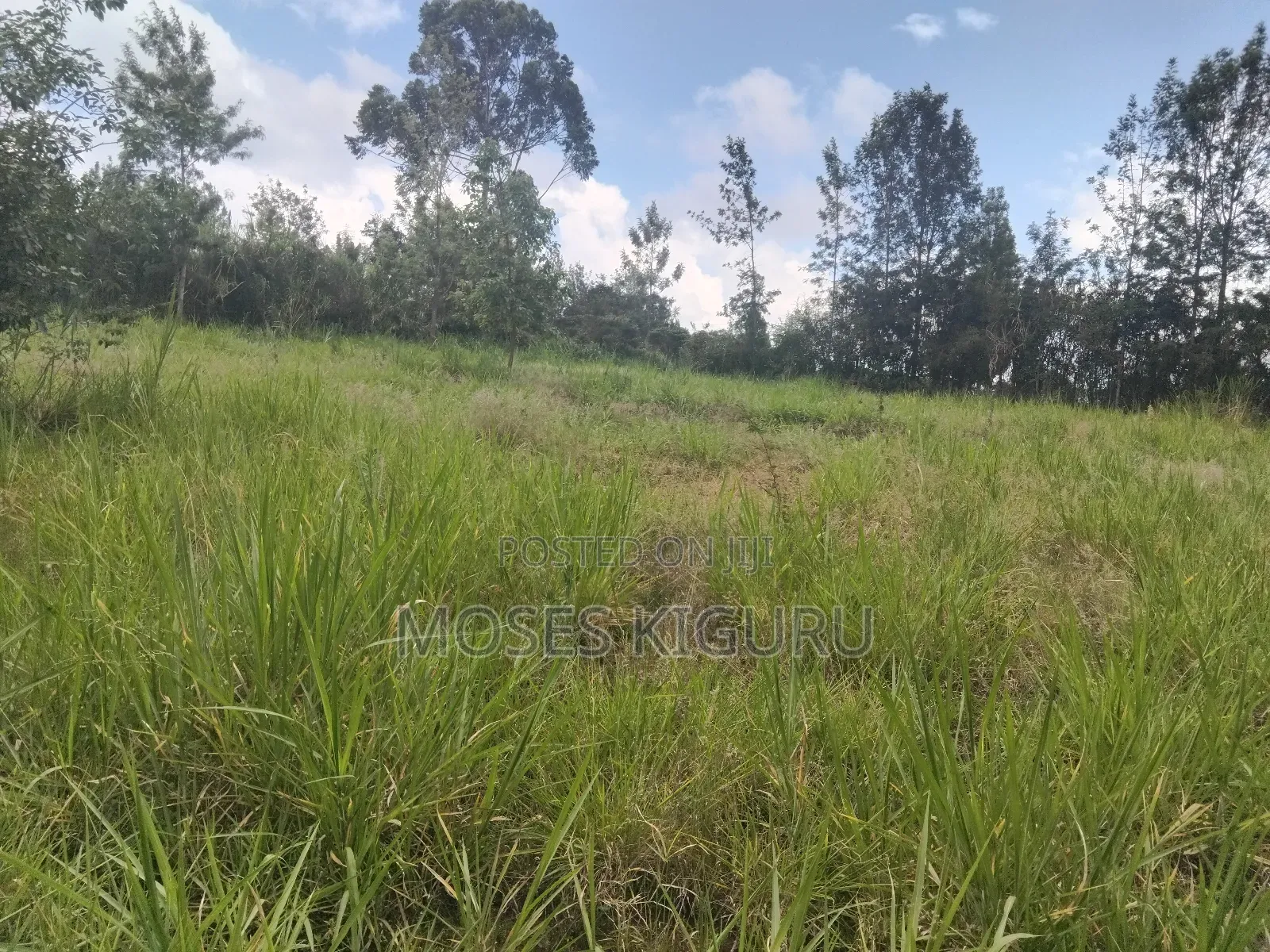 Mugutha 1/4 Plots in Ruiru