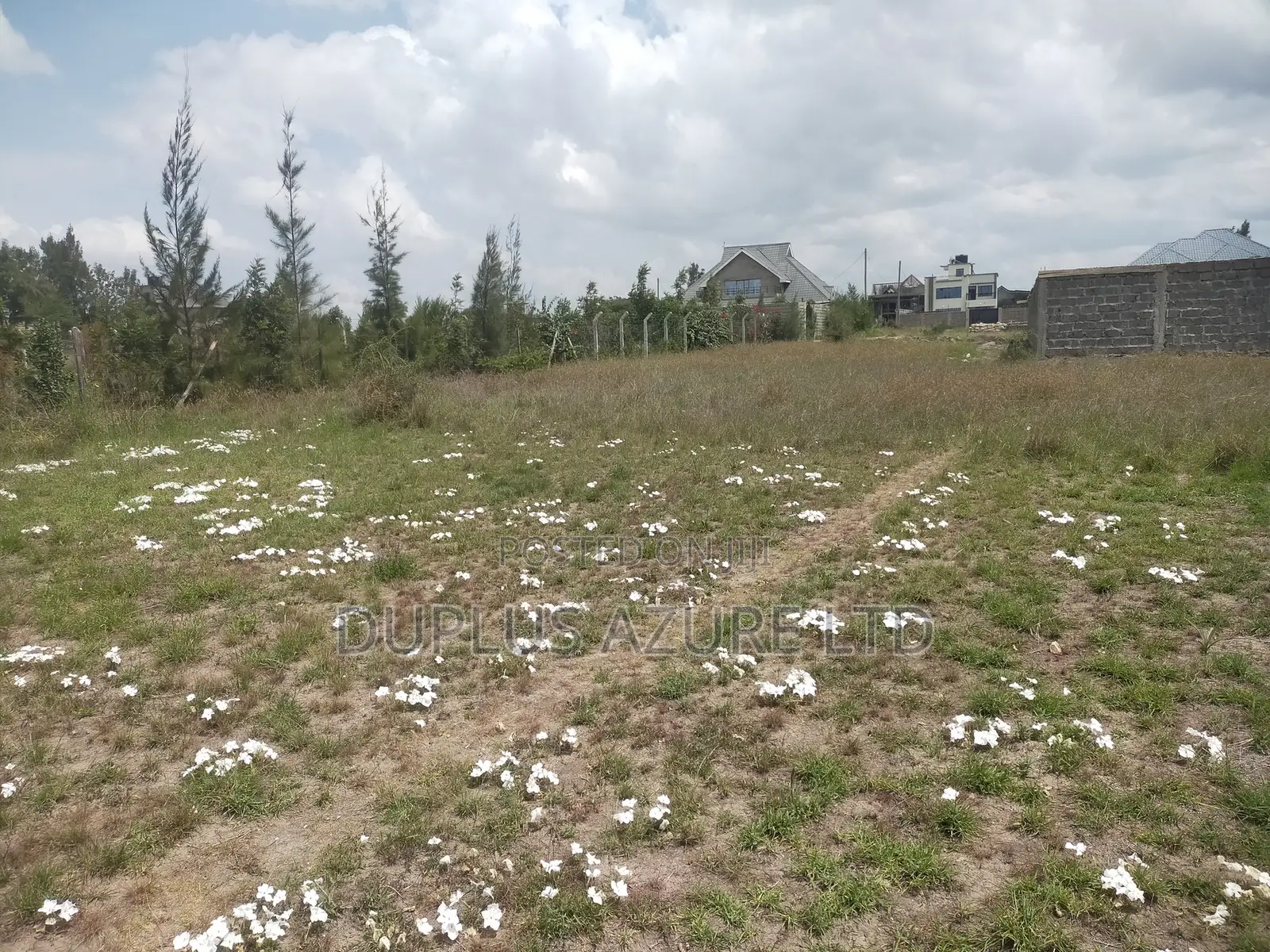 1/8-Acre Plot in Kitengela-Thorn Grove in Kitengela