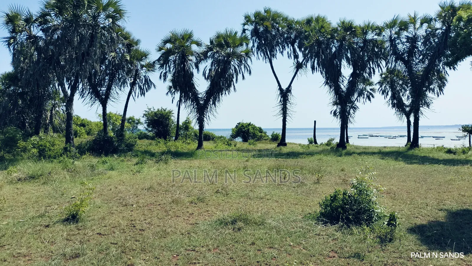 Msambweni One Acre Prime Beach Front Land on Sale! At in Diani