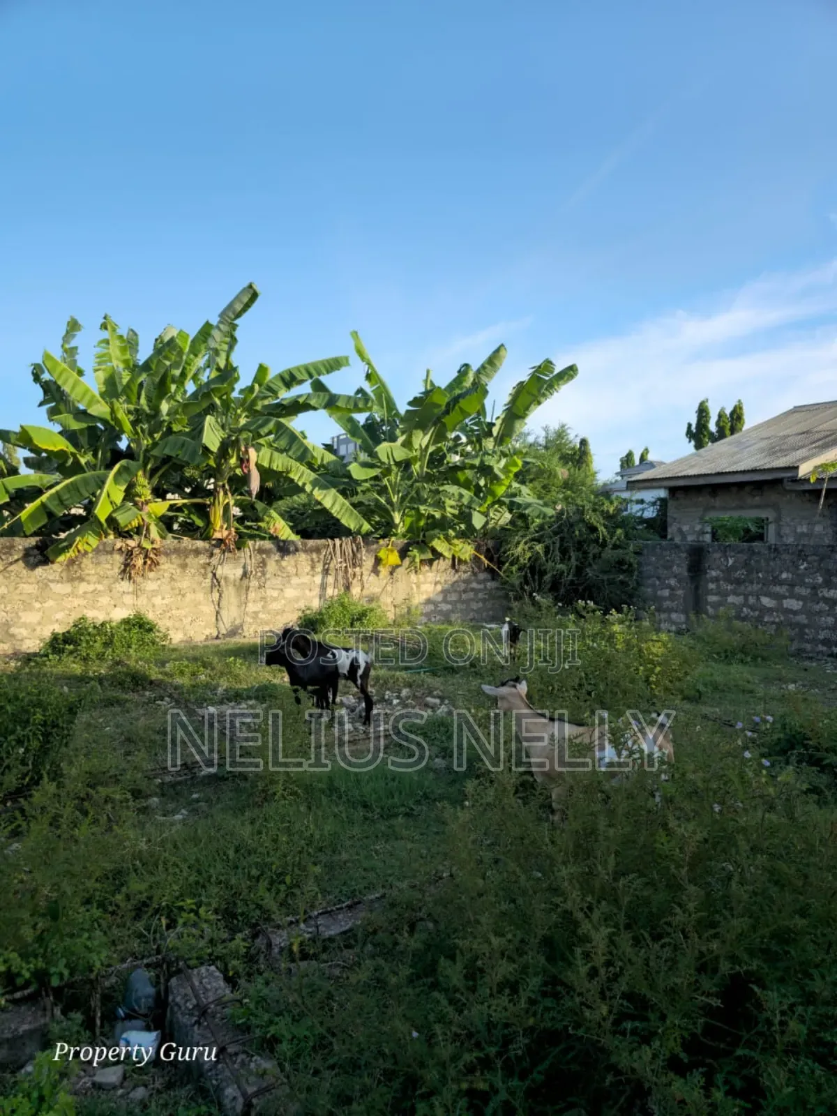 Utange Plot for Sale 1/8 Acre in Utange