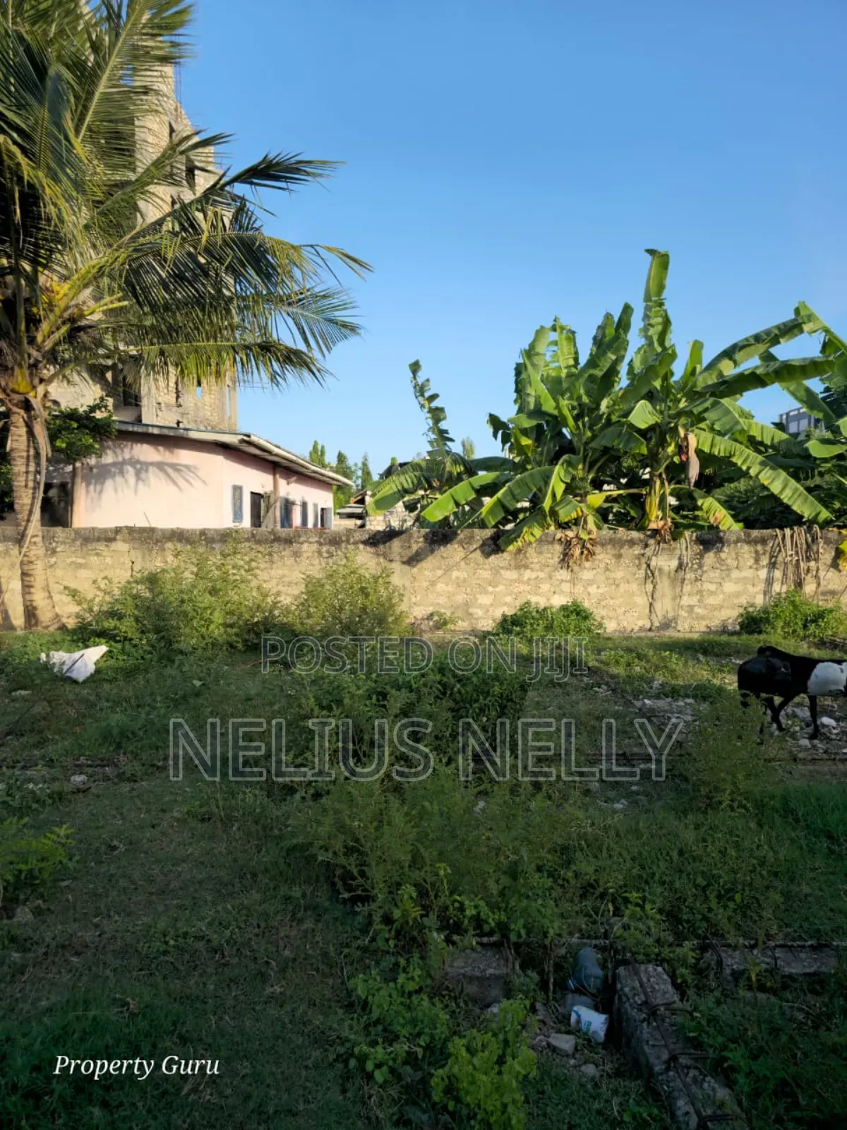 Utange Plot for Sale 1/8 Acre in Utange