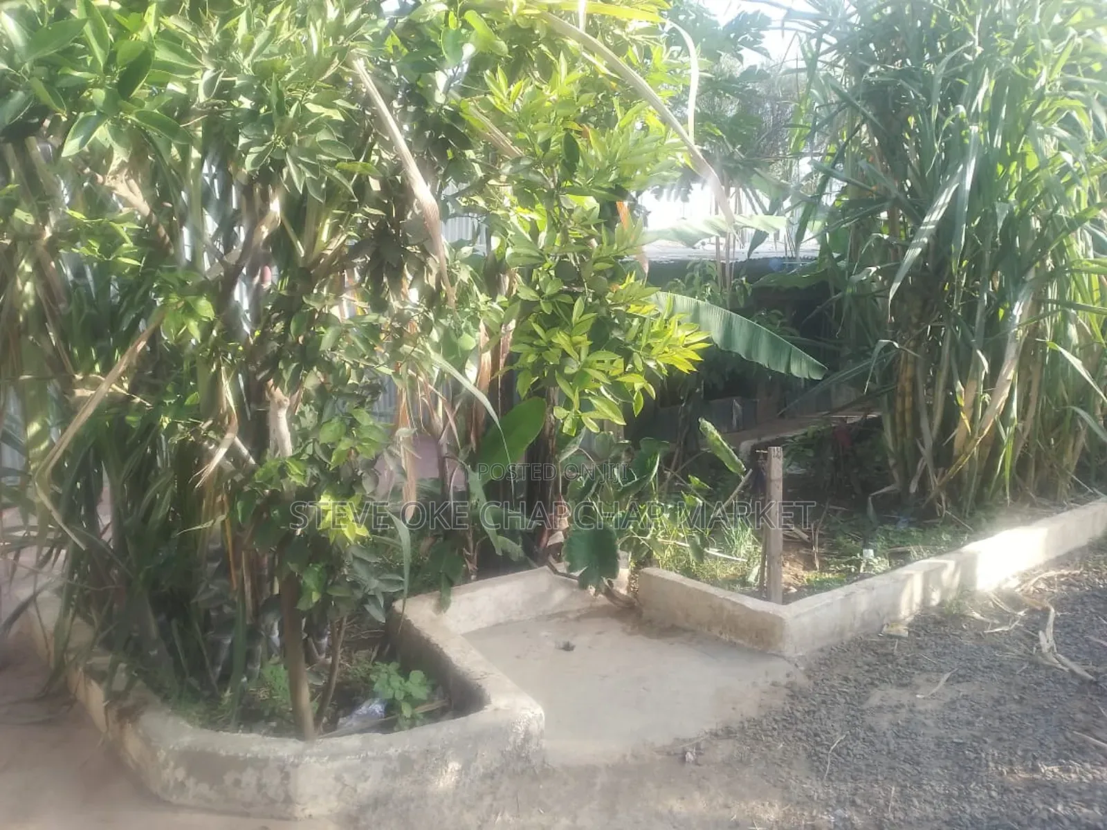3bdrm Bungalow in Noonkopir Kitengela, Nairobi Central for sale in Nairobi Central