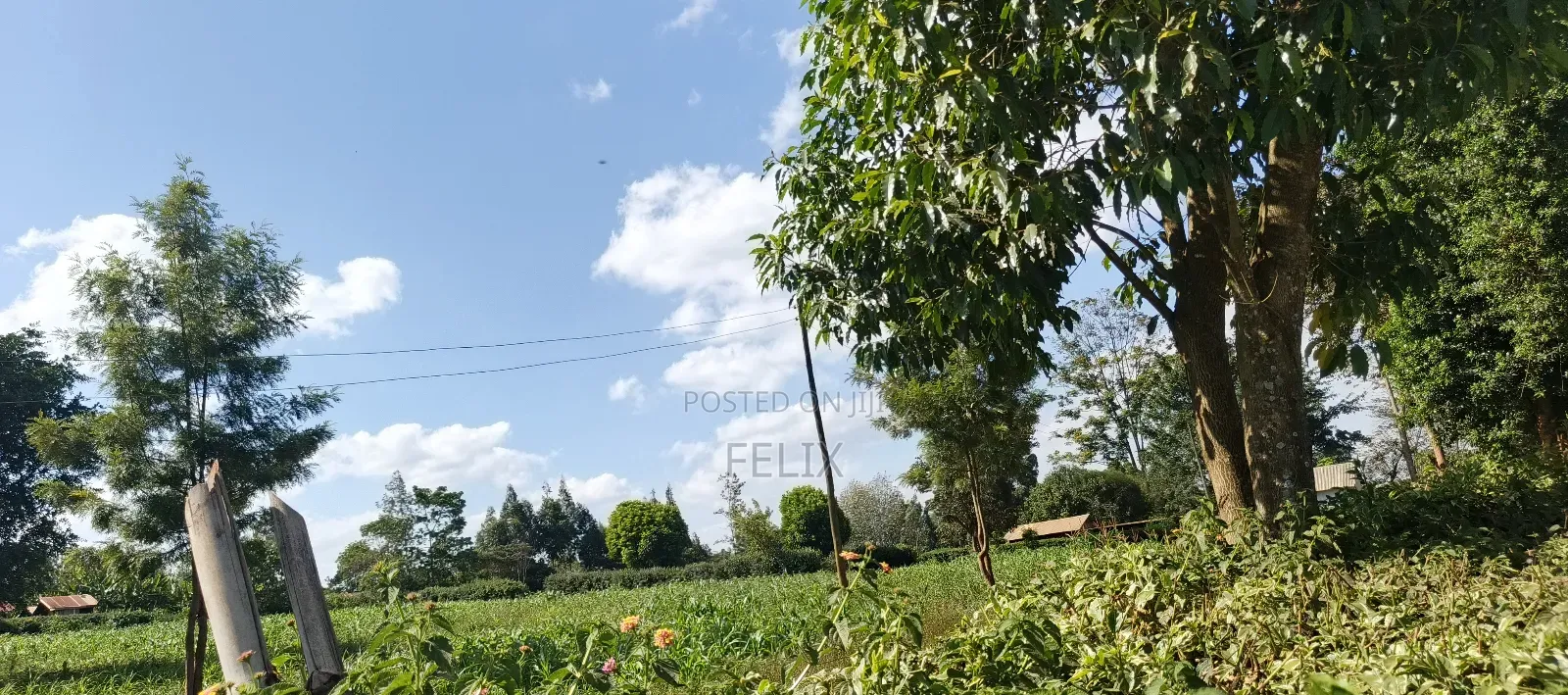 Nyeri Gatitu /Kiawaithanji 10 Acres in Gatitu