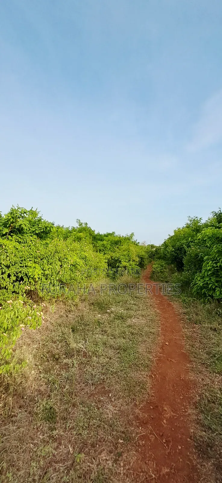 For Sale Half Acre Plots Diani in Diani