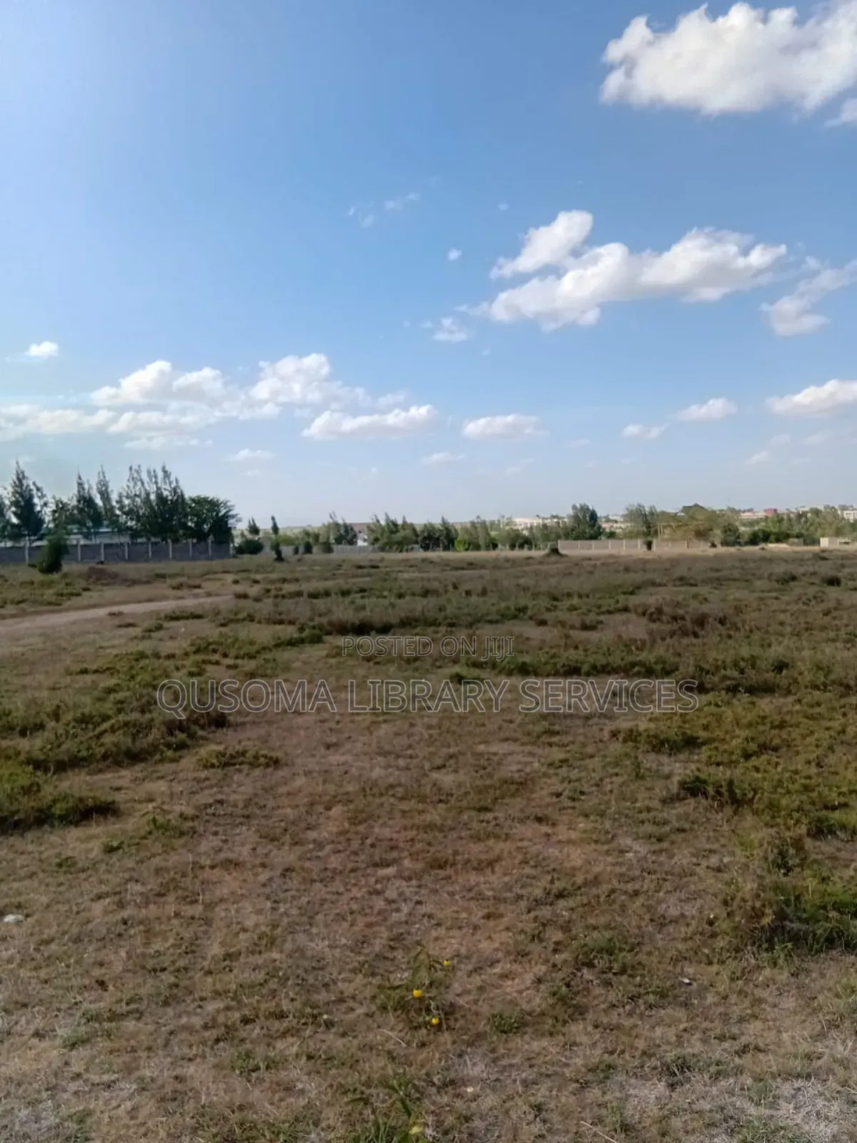 2 Side-by-Side Half-Acre Prime Plots - Kisaju 1.1 Km to Fred's Ranch in Kisaju