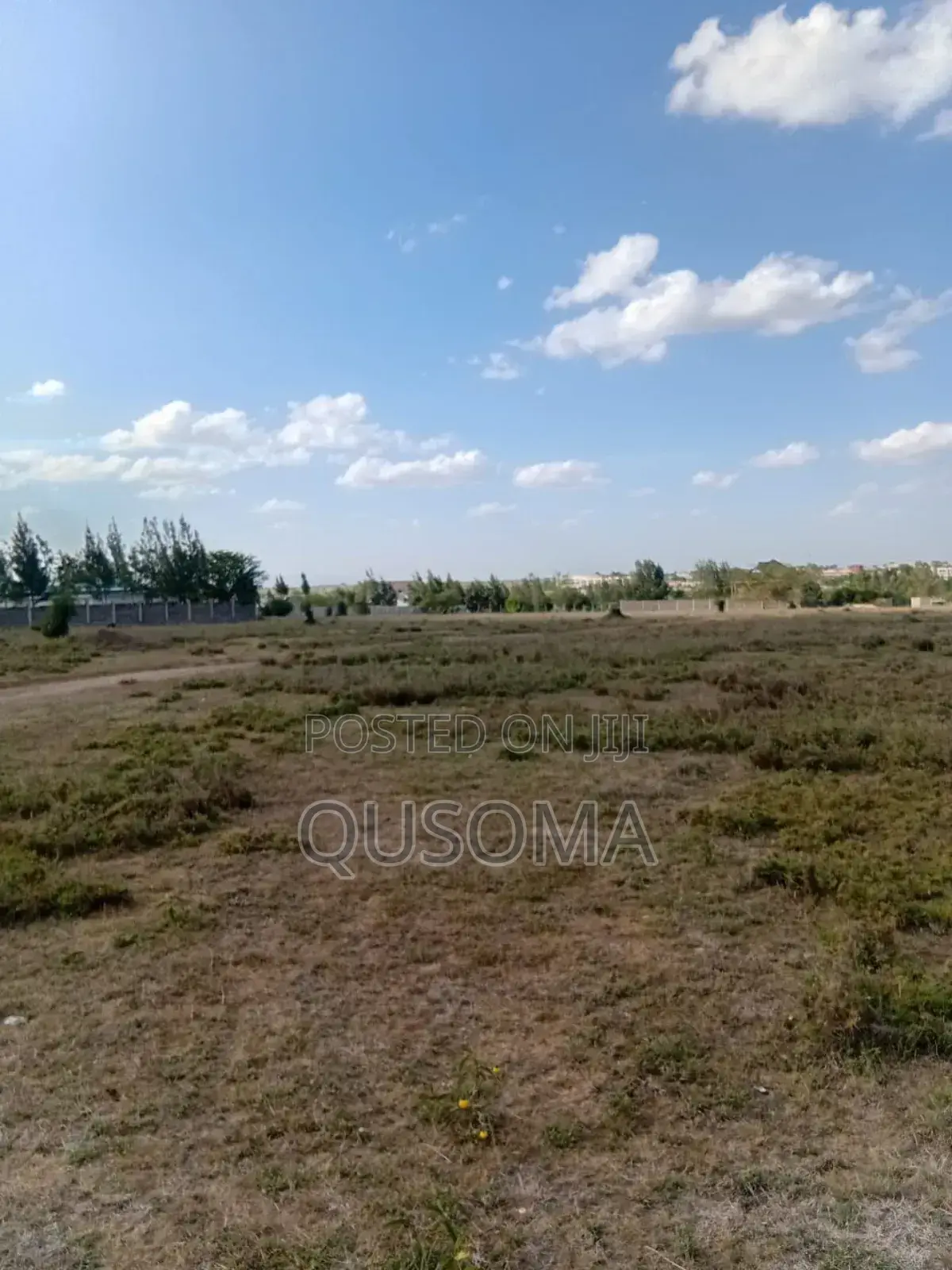 2 Side-by-Side Half-Acre Prime Plots - Kisaju 1.1 Km to Fred's Ranch in Kisaju