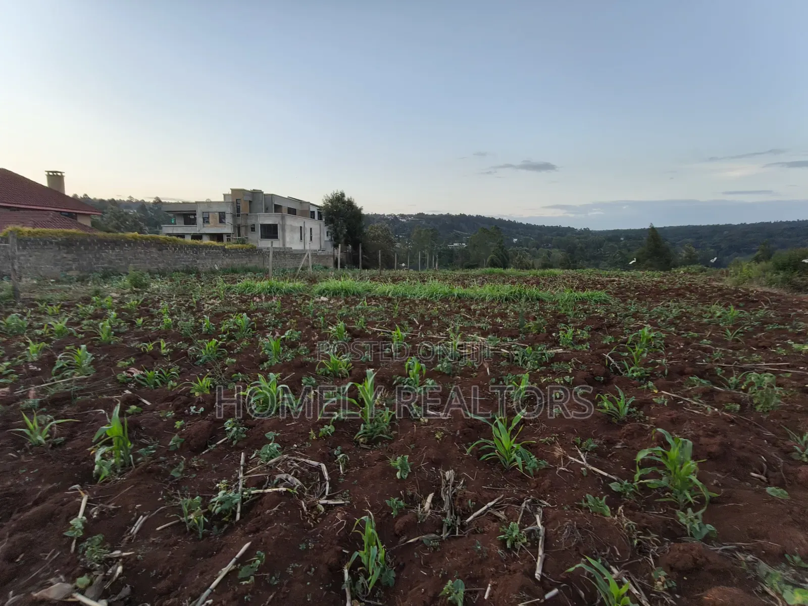 Quarter Acre Plot Is on Sale in Kerarapon Drive, Ngong. Red Soil in Kerarapon
