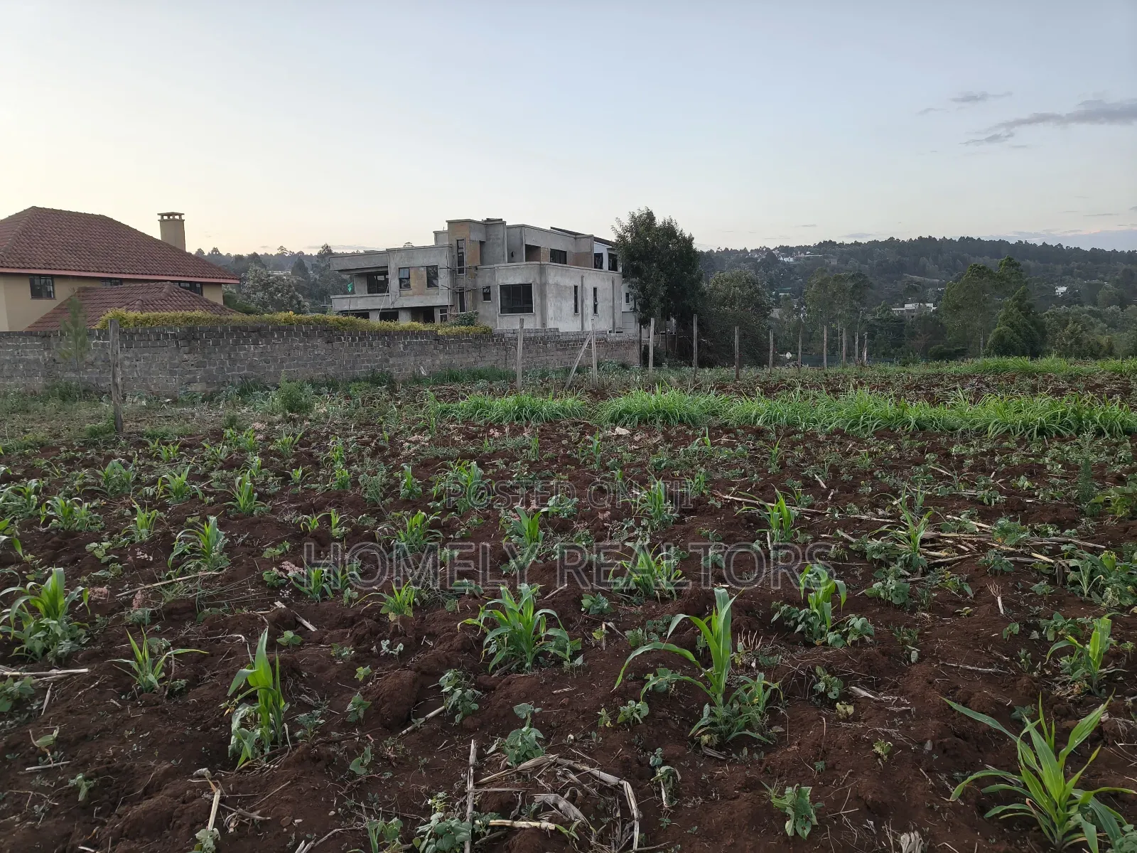 Quarter Acre Plot Is on Sale in Kerarapon Drive, Ngong. Red Soil in Kerarapon