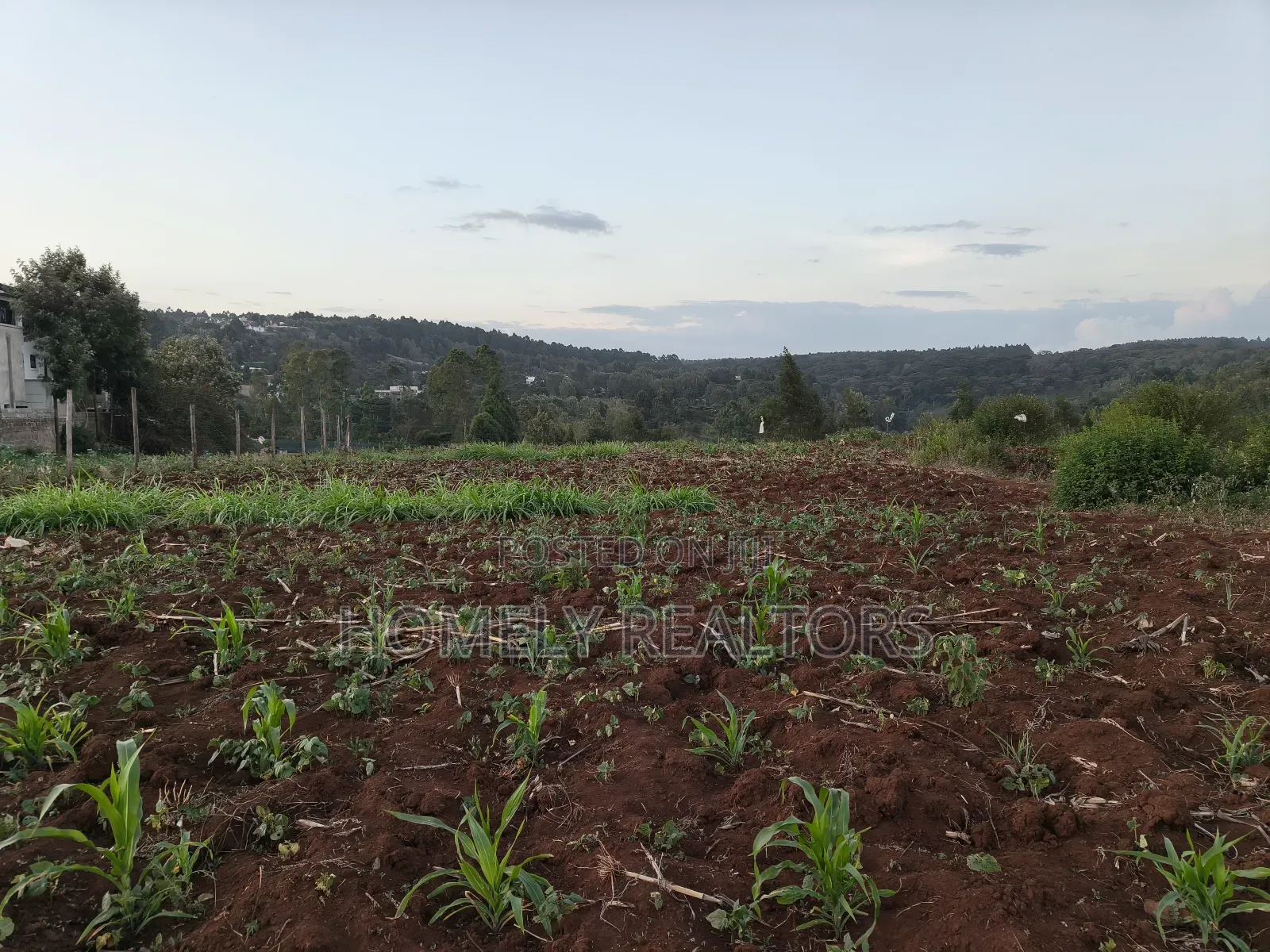 Quarter Acre Plot Is on Sale in Kerarapon Drive, Ngong. Red Soil in Kerarapon