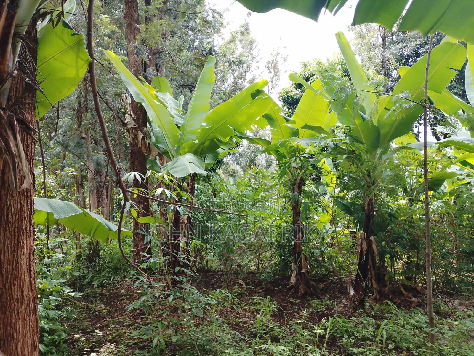 Chuka Town Development Land for Sale. Approximately One Acre. in Karingani