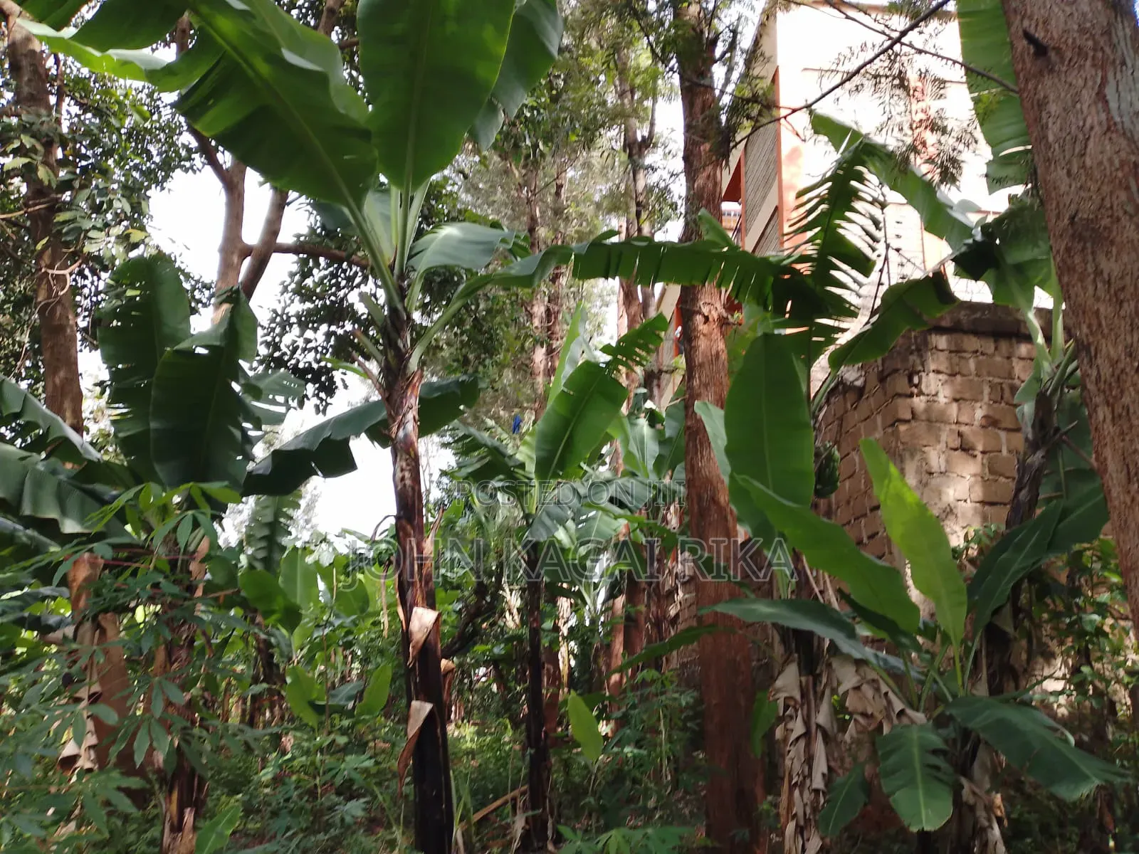 Chuka Town Development Land for Sale. Approximately One Acre. in Karingani