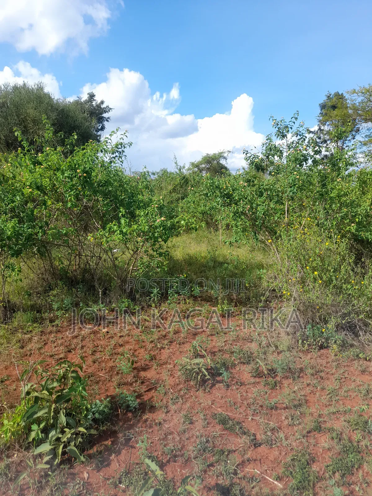 Residential Plot for Sale in Ruiru