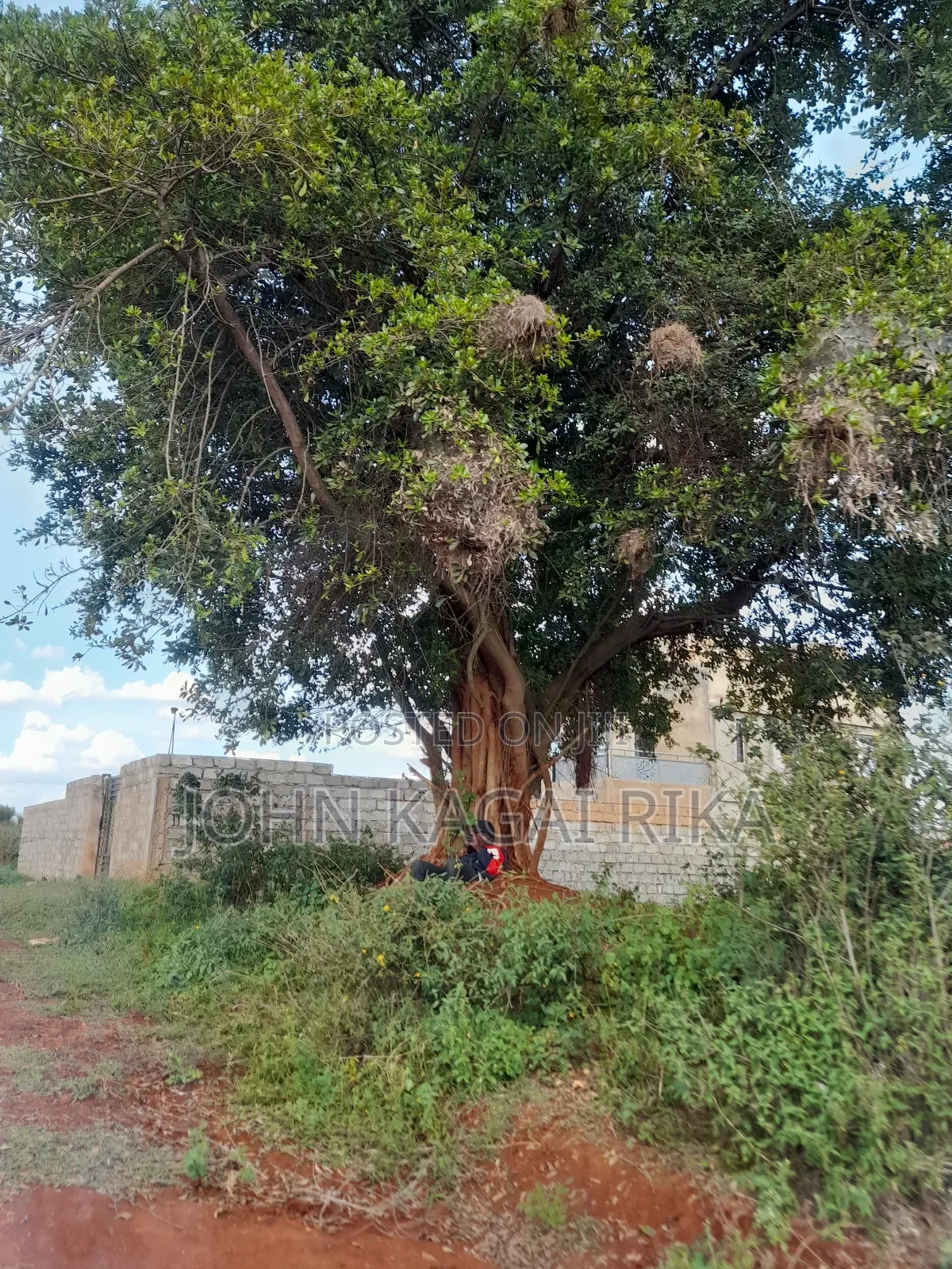 Residential Plot for Sale in Ruiru