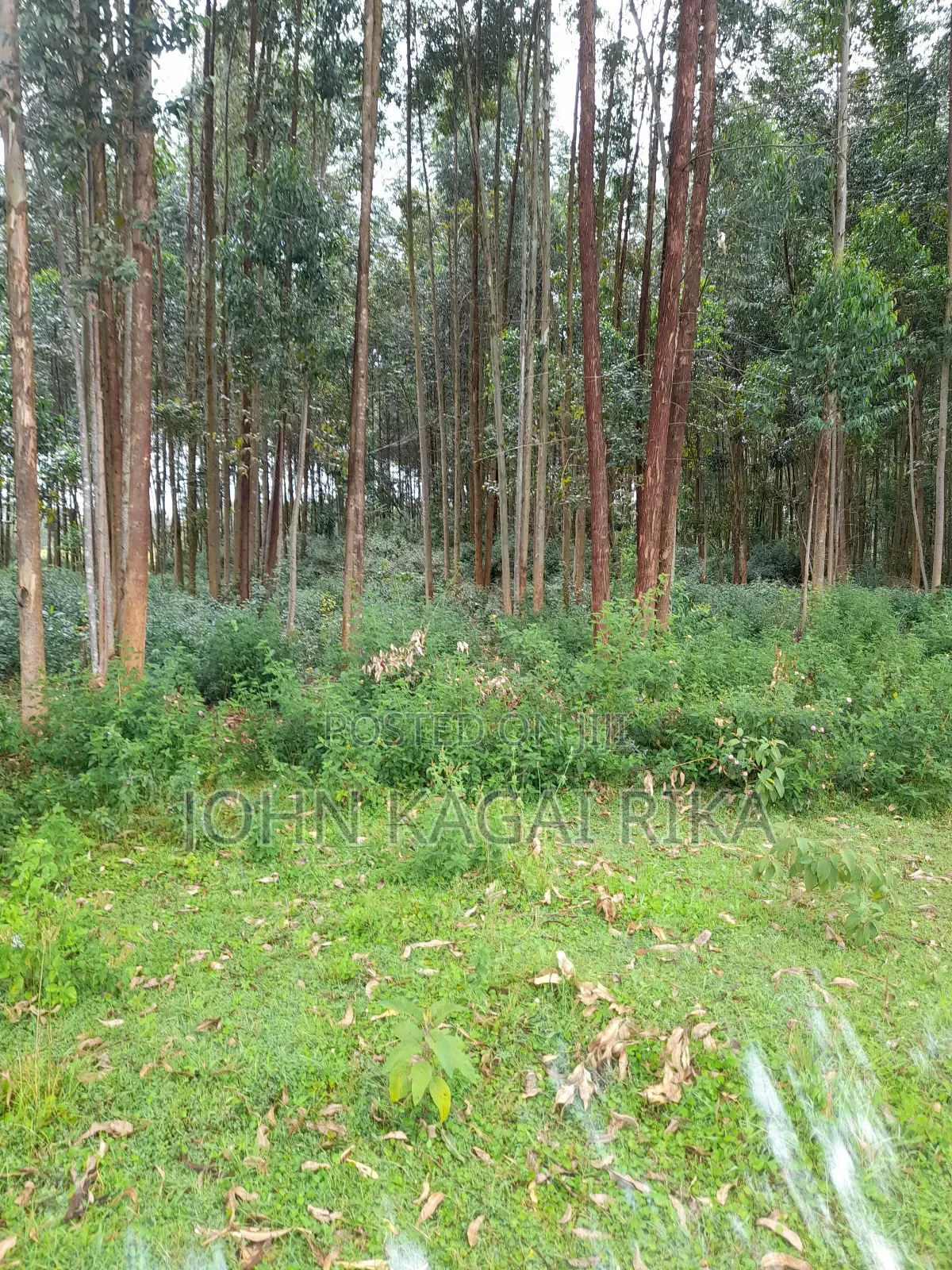Kitale Agricultural Land in Kitale