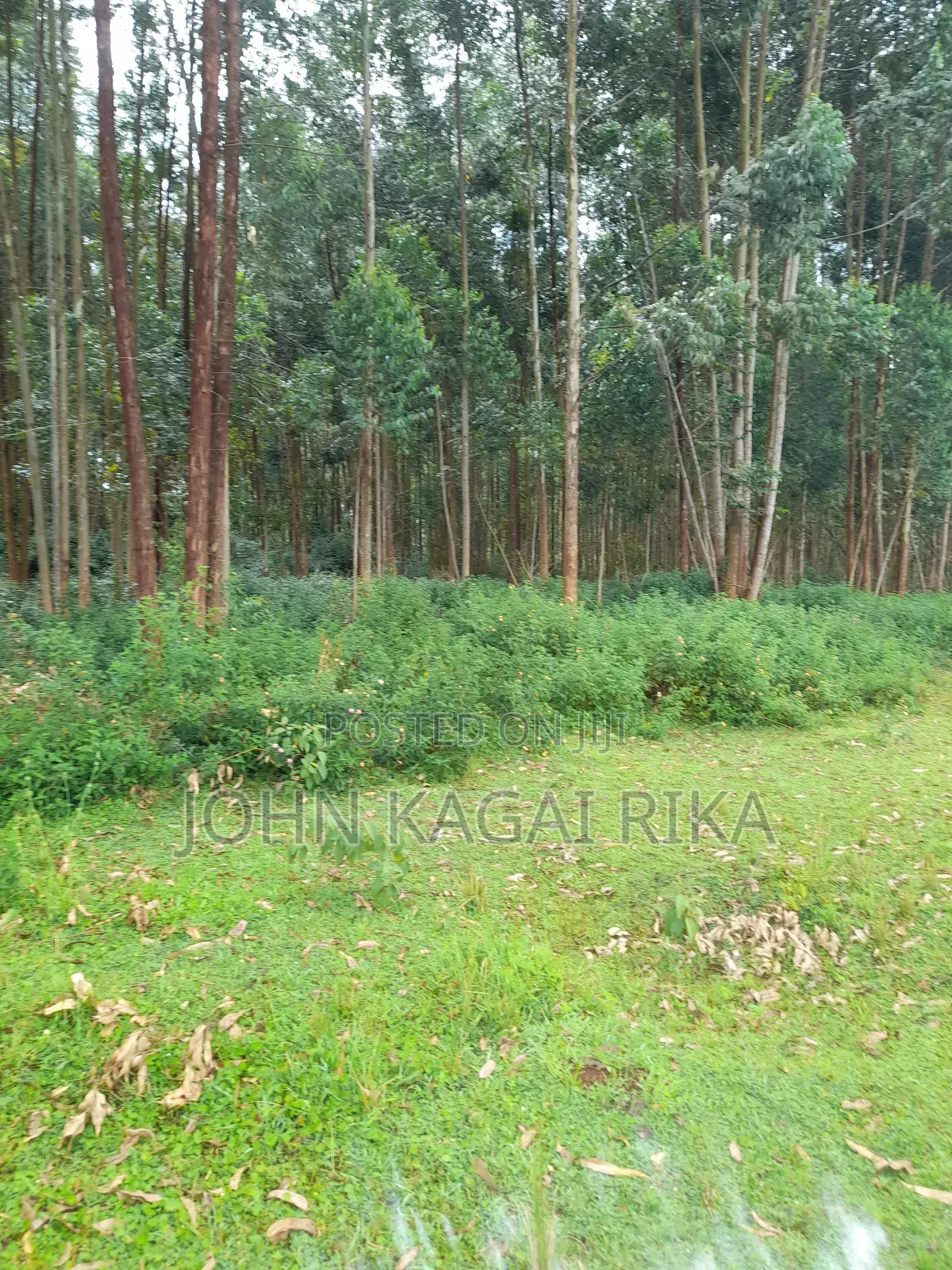 Kitale Agricultural Land in Kitale
